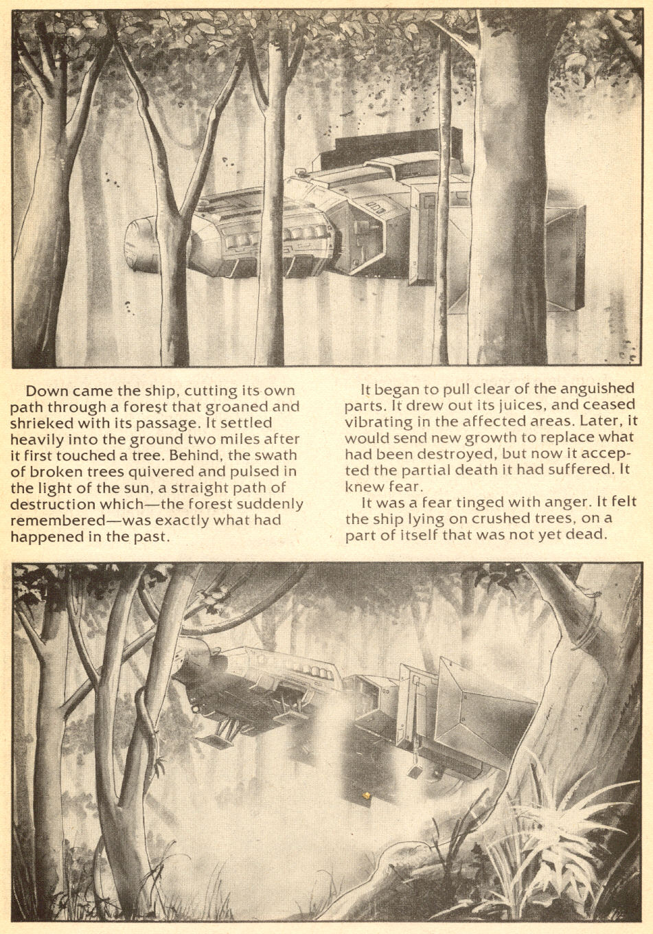 Read online Andromeda comic -  Issue #2 - 8