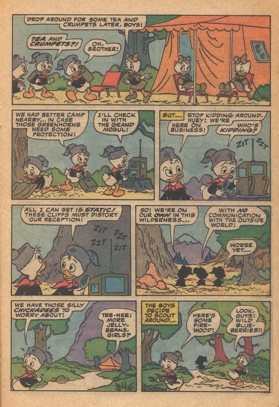 Read online Huey, Dewey, and Louie Junior Woodchucks comic -  Issue #77 - 21