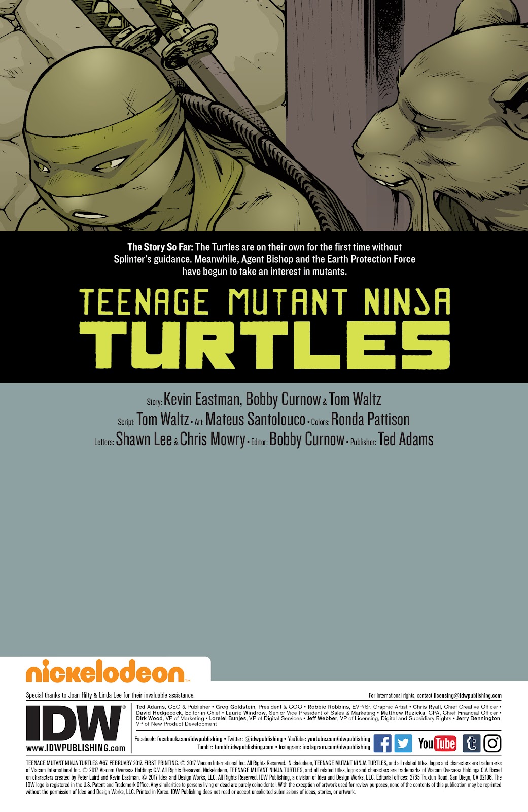 Teenage Mutant Ninja Turtles (2011) issue 67 - Page 2