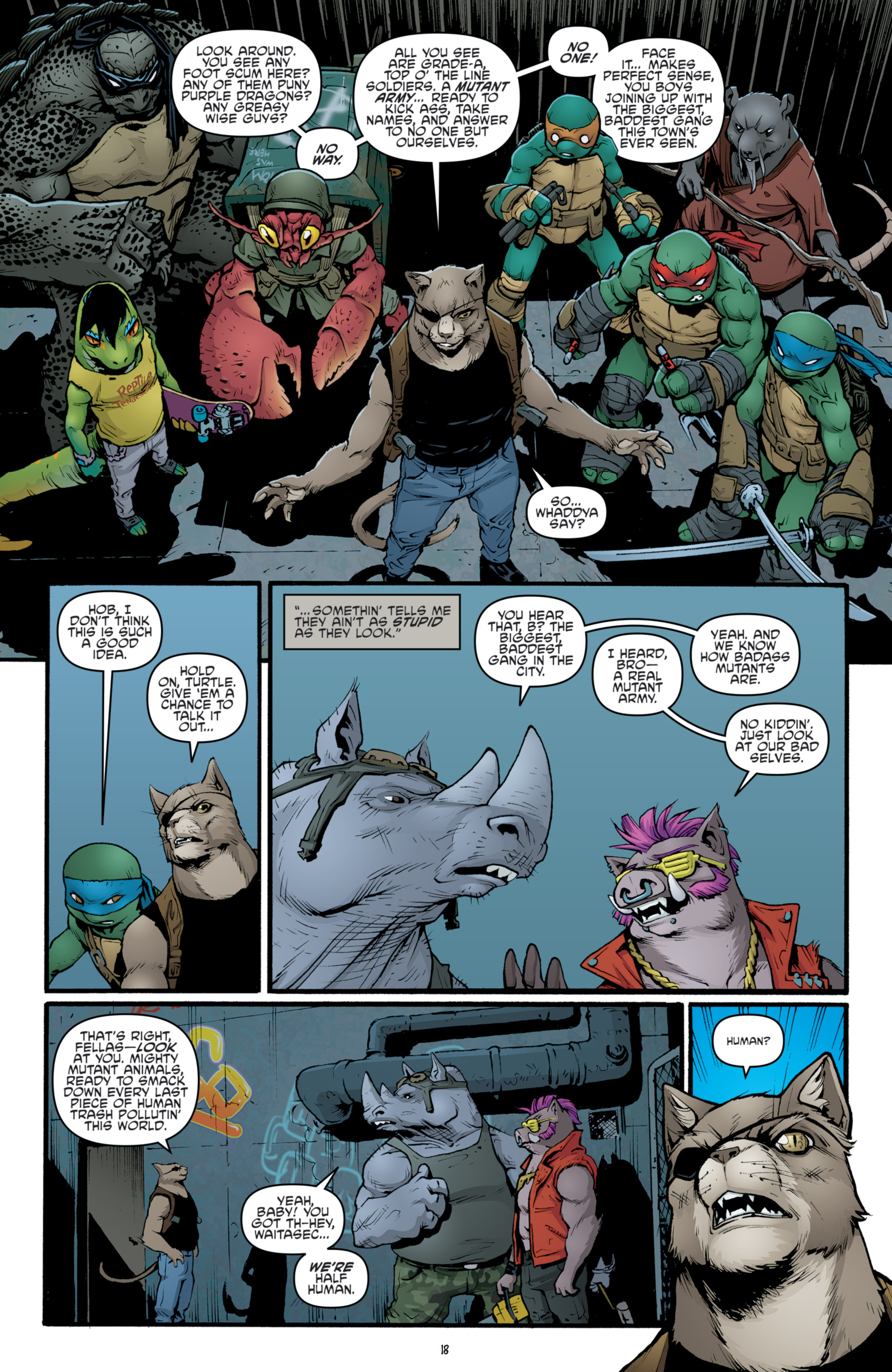 Read online Teenage Mutant Ninja Turtles (2011) comic -  Issue #39 - 20
