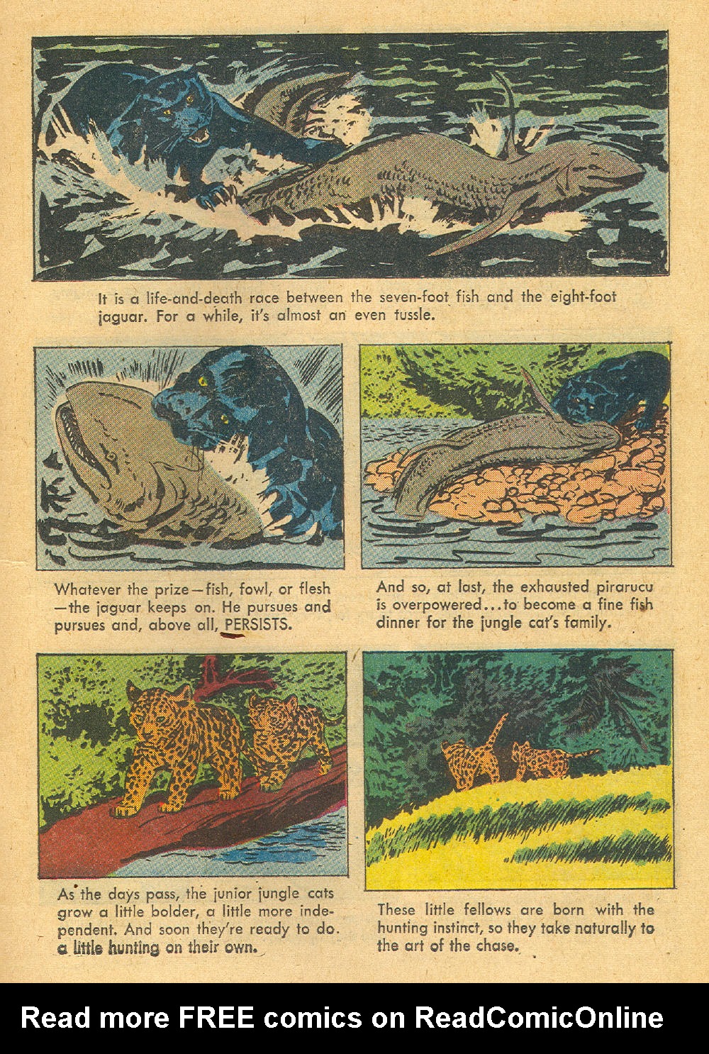 Read online Four Color Comics comic -  Issue #1136 - 17