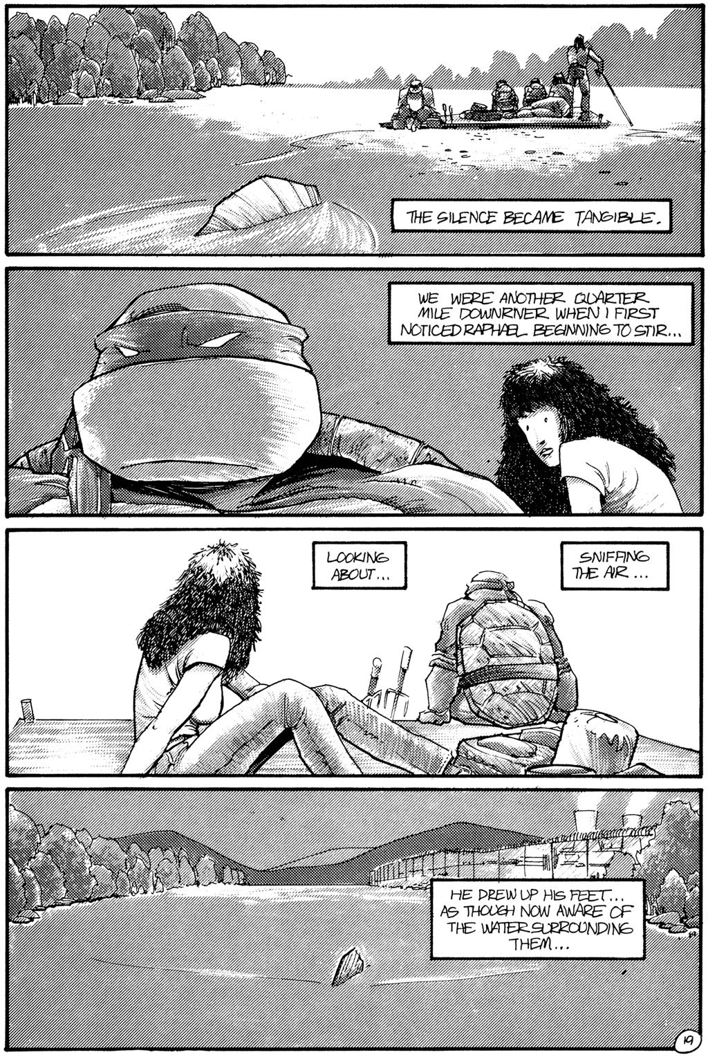 Teenage Mutant Ninja Turtles (1984) Issue #28 #28 - English 21