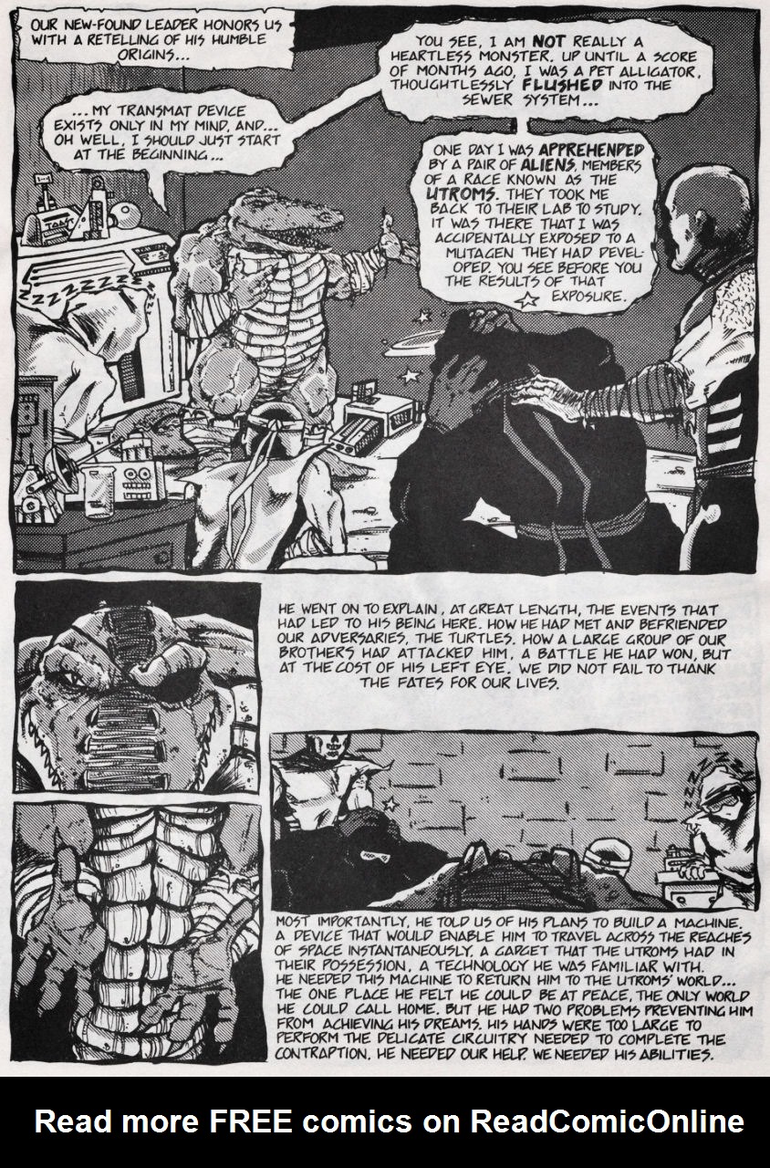 Teenage Mutant Ninja Turtles (1984) Issue #45 #45 - English 12