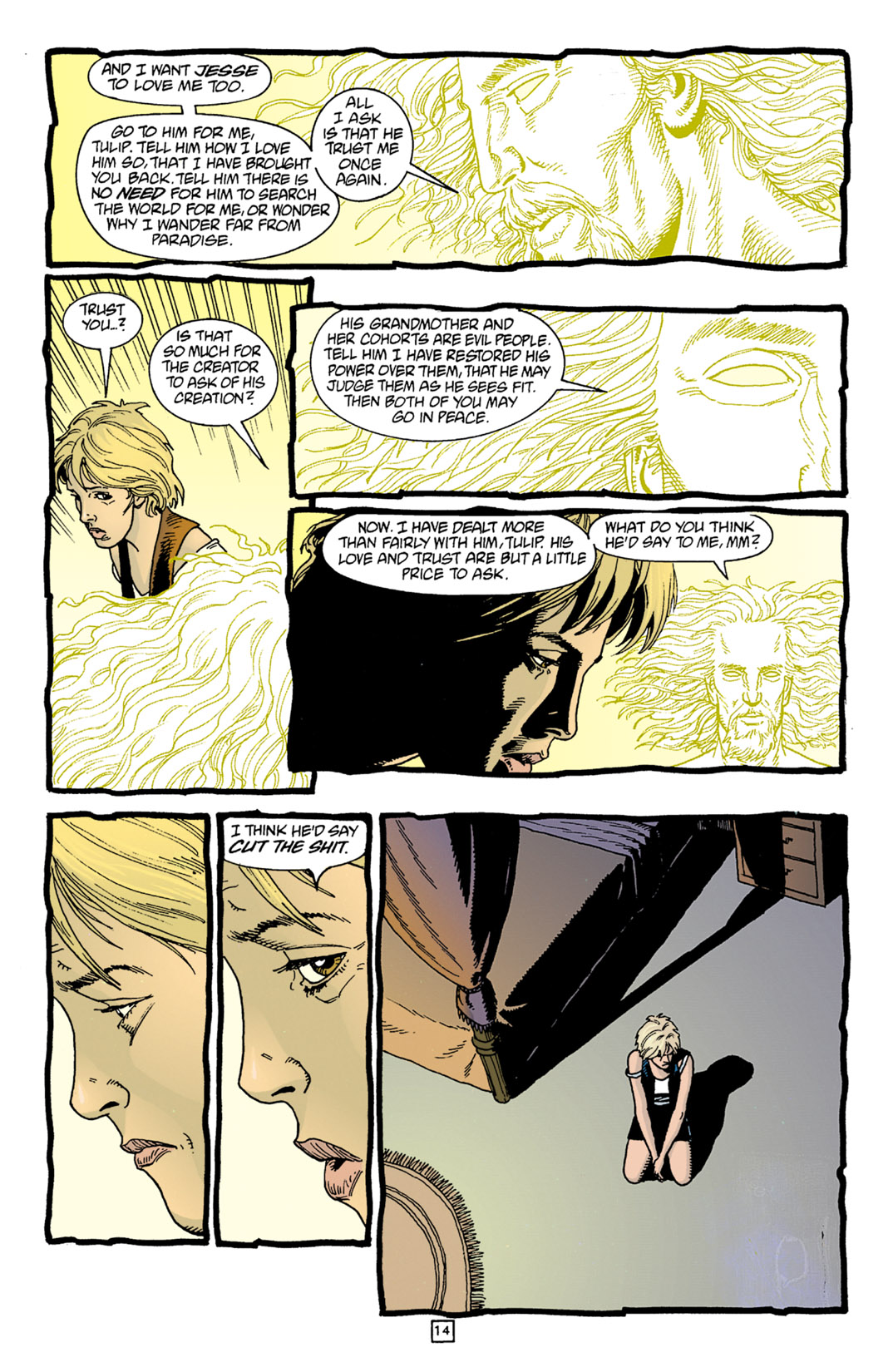 Read online Preacher comic -  Issue #11 - 15