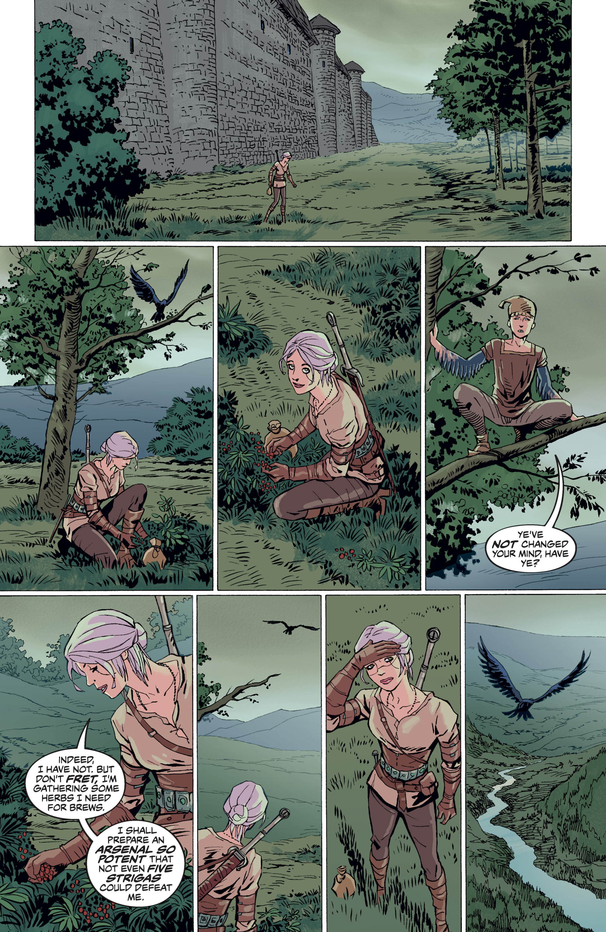 Read online The Witcher Omnibus comic -  Issue # TPB (Part 4) - 81