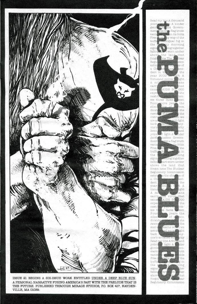 Teenage Mutant Ninja Turtles (1984) Issue #19 #19 - English 43