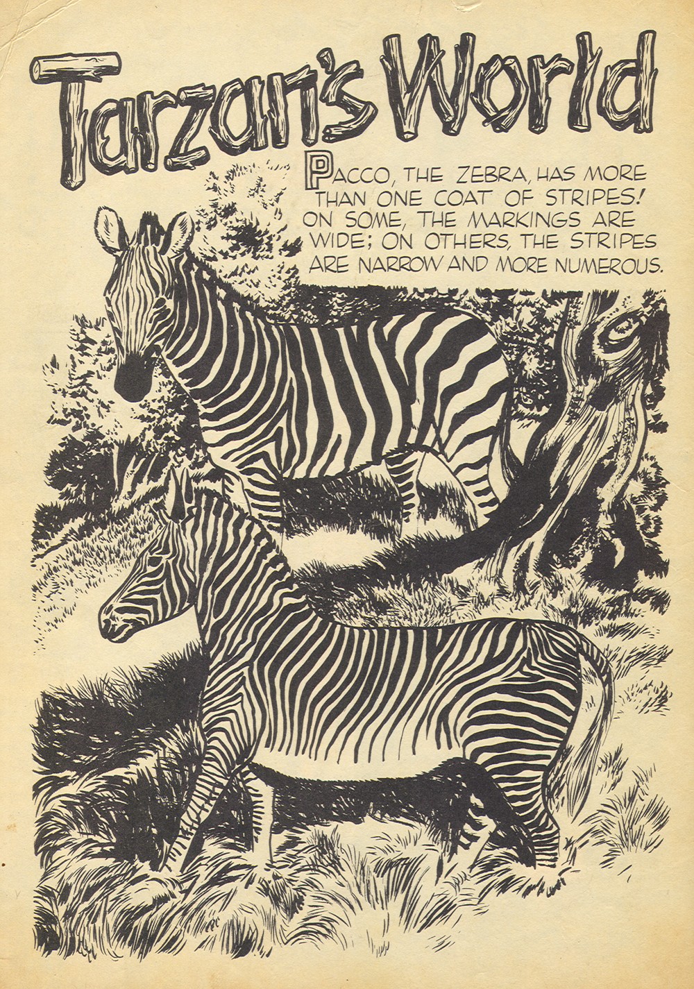 Read online Tarzan (1948) comic -  Issue #60 - 2