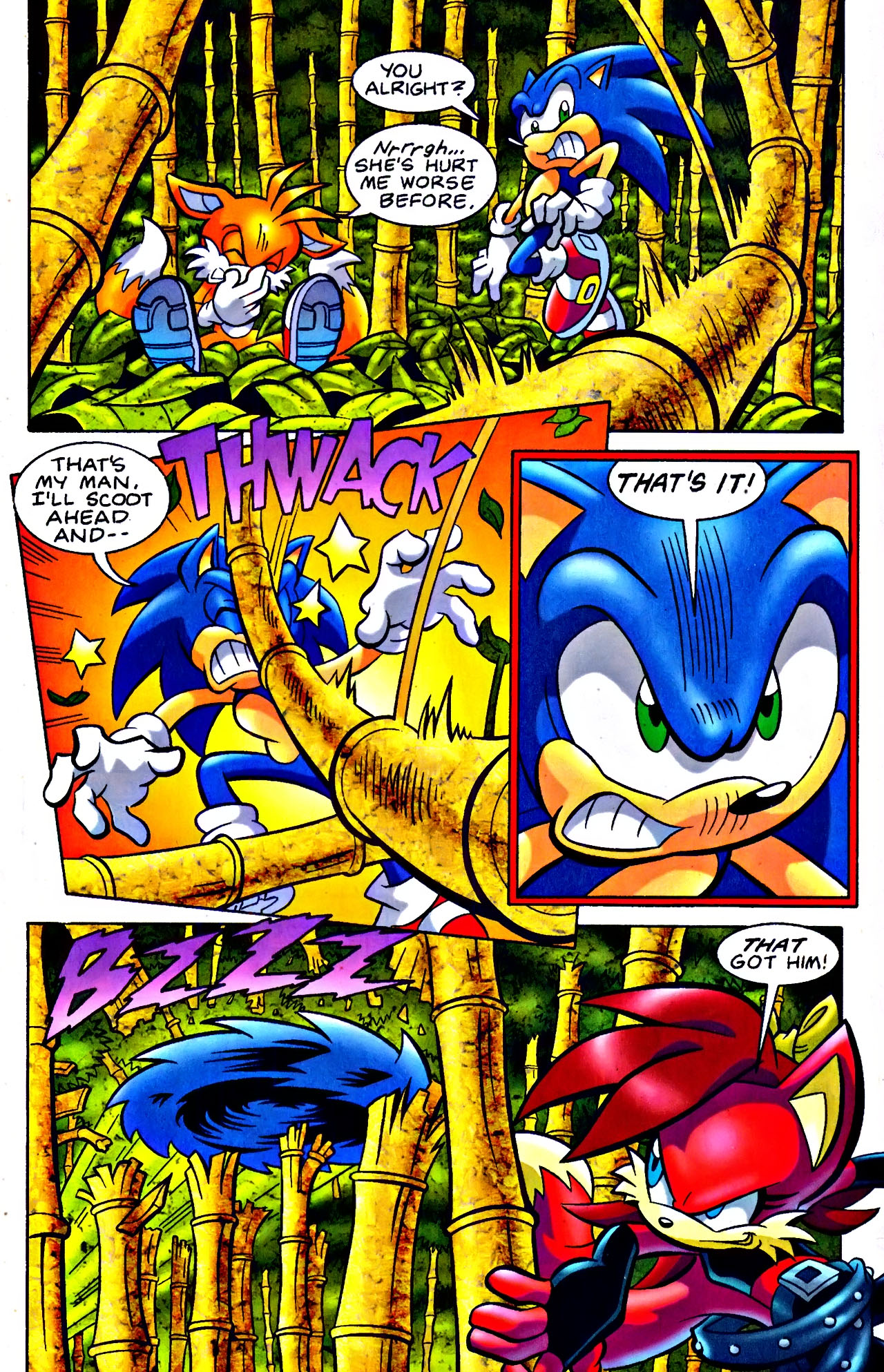 Read online Sonic Universe comic -  Issue #14 - 16