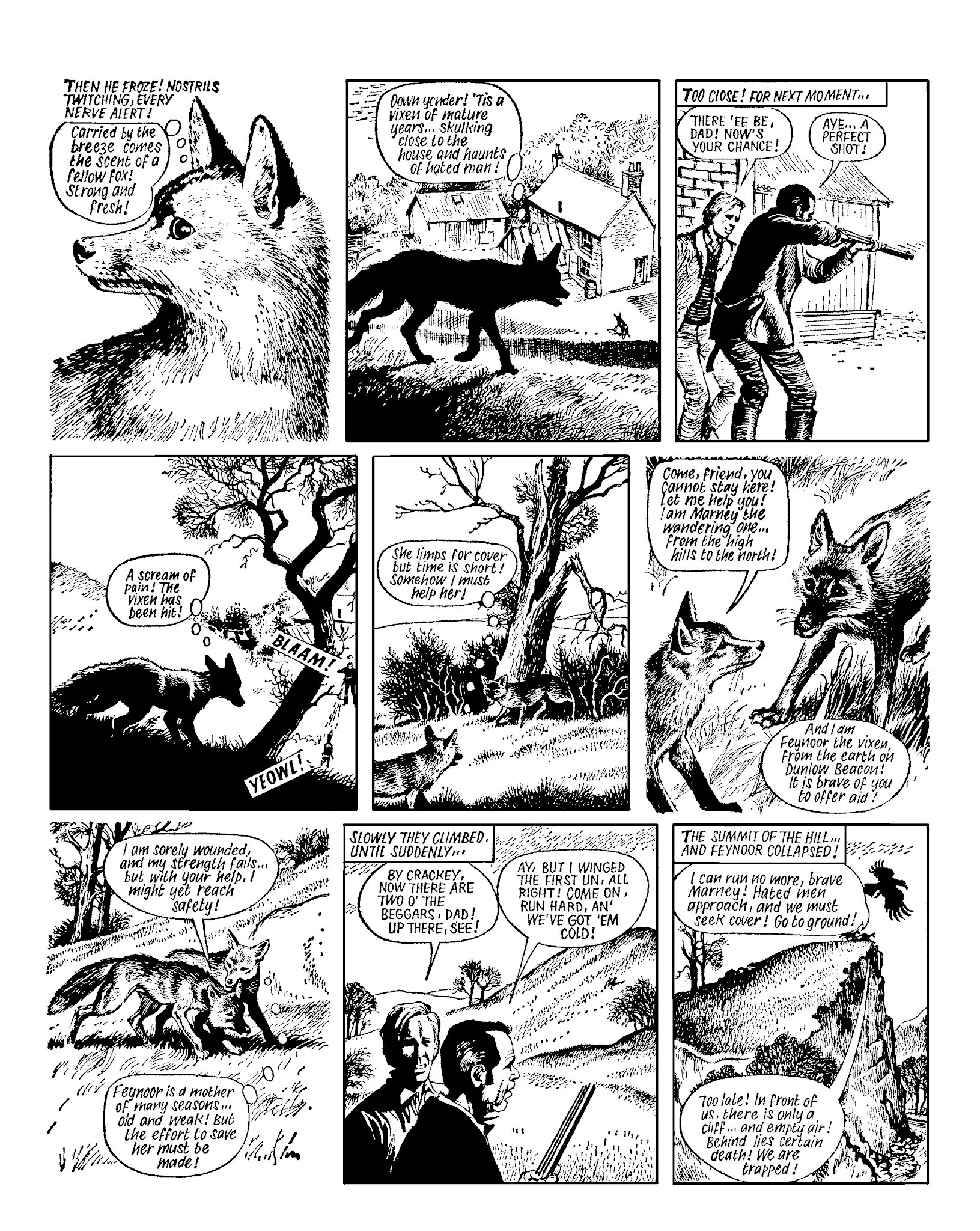 Read online Marney the Fox comic -  Issue # TPB (Part 2) - 71