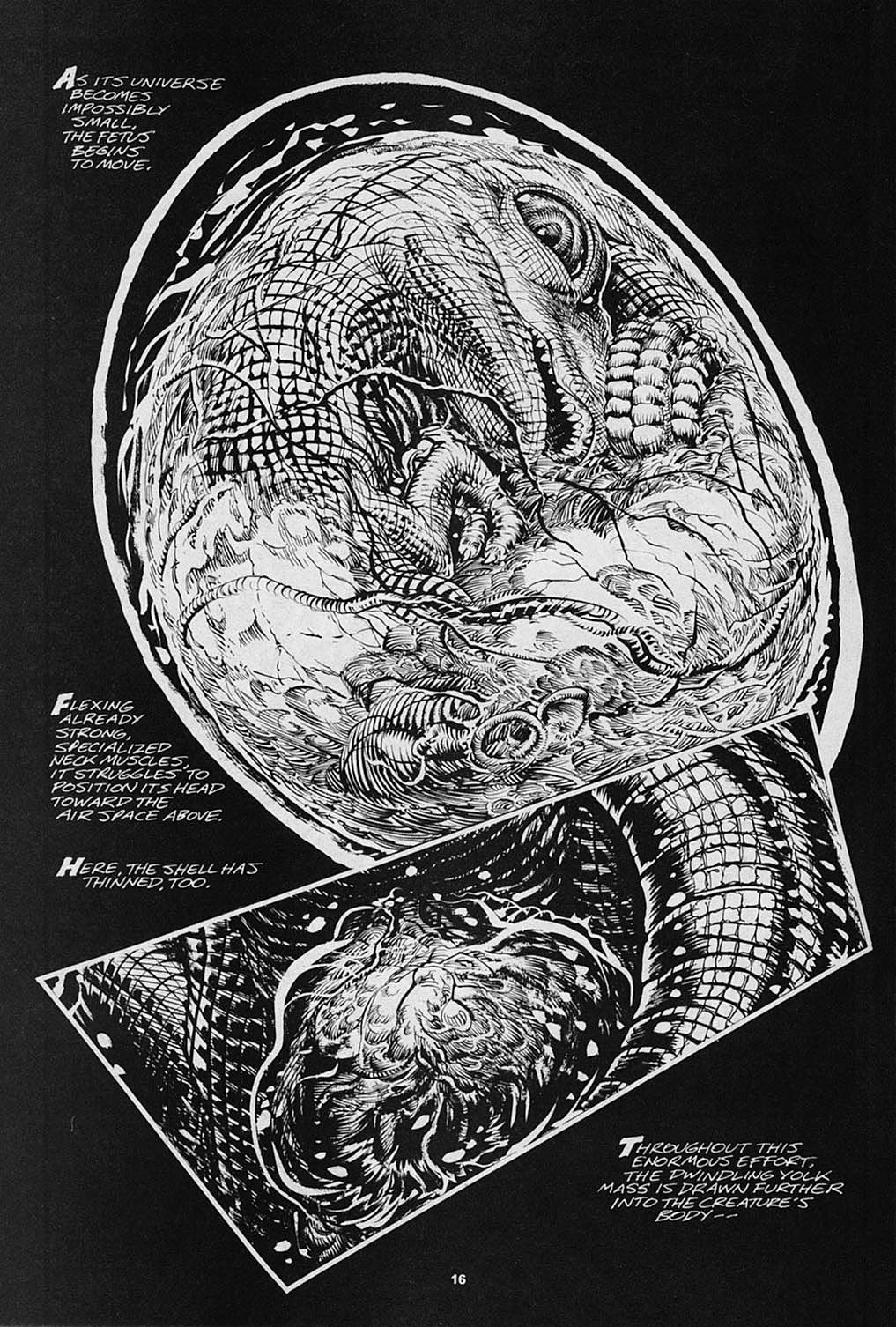 Read online S.R. Bissette's Tyrant comic -  Issue #3 - 18