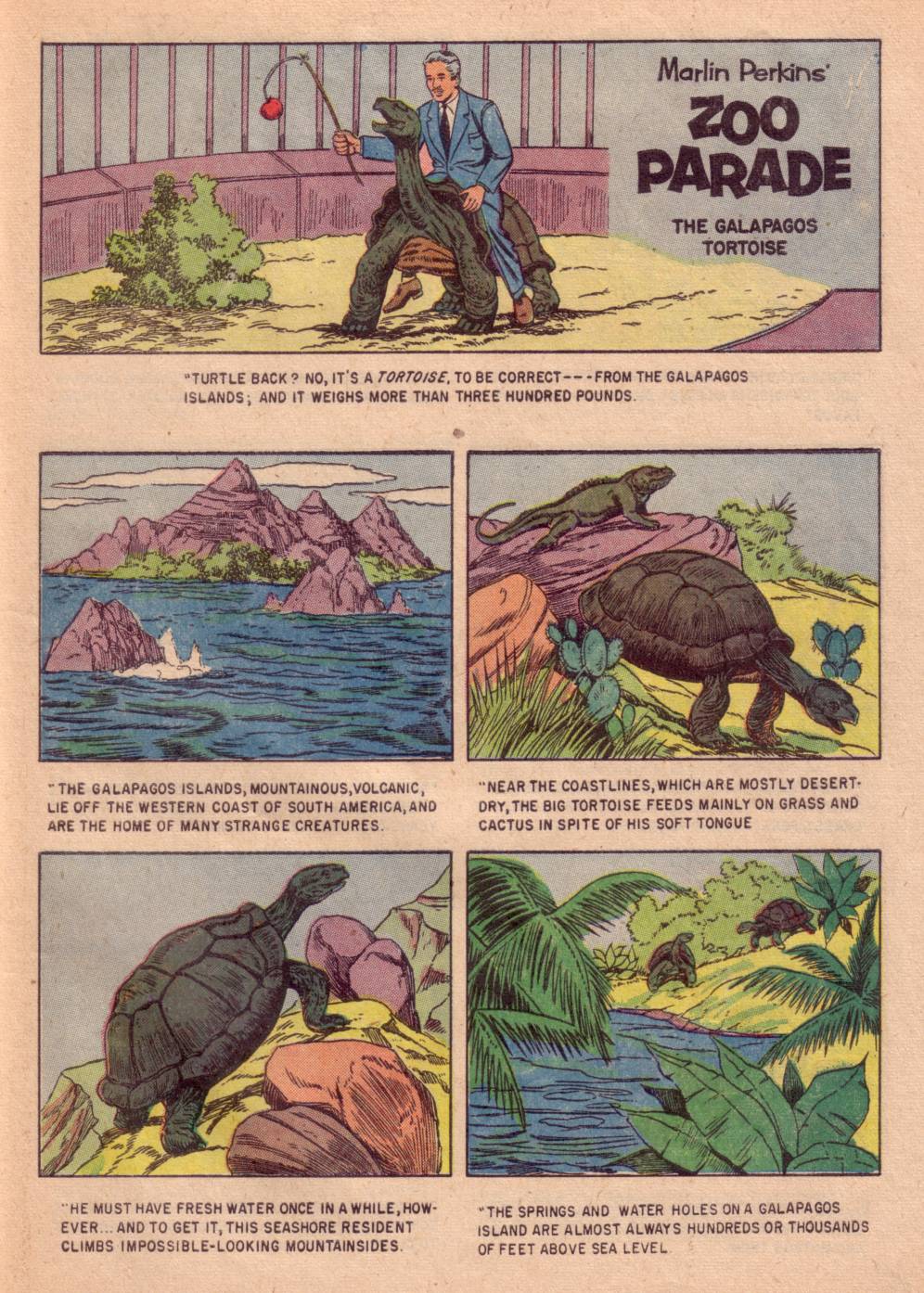 Read online Four Color Comics comic -  Issue #662 - 27