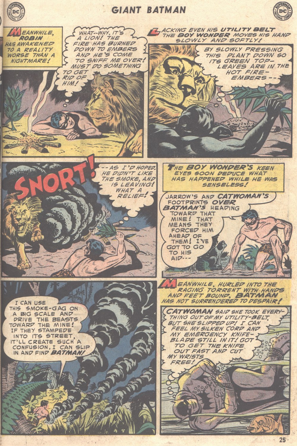 Read online Batman (1940) comic -  Issue #198 - 25