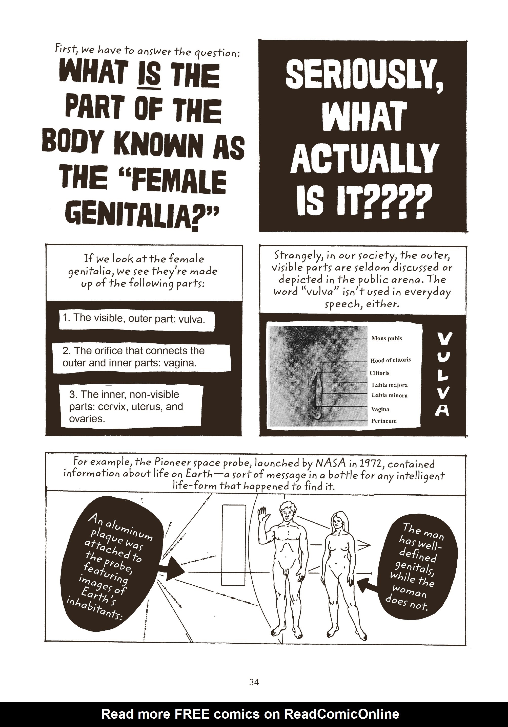 Read online Fruit of Knowledge: The Vulva Vs. The Patriarchy comic -  Issue # TPB - 34