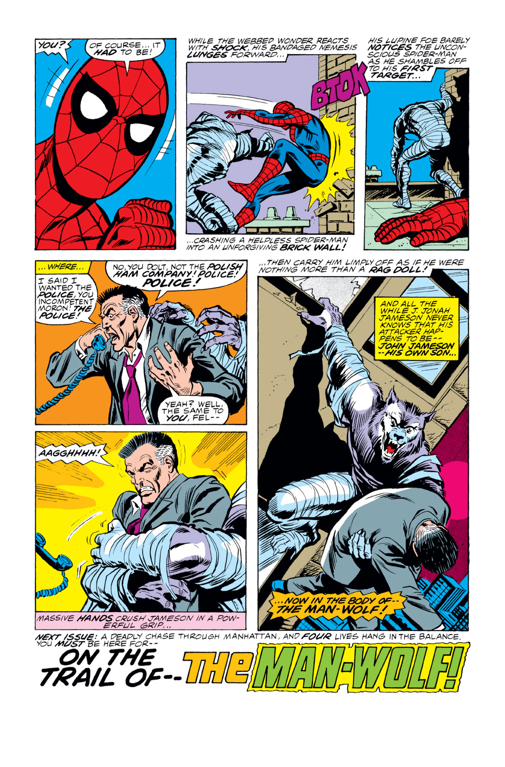 The Amazing Spider-Man (1963) issue 189 - Page 18