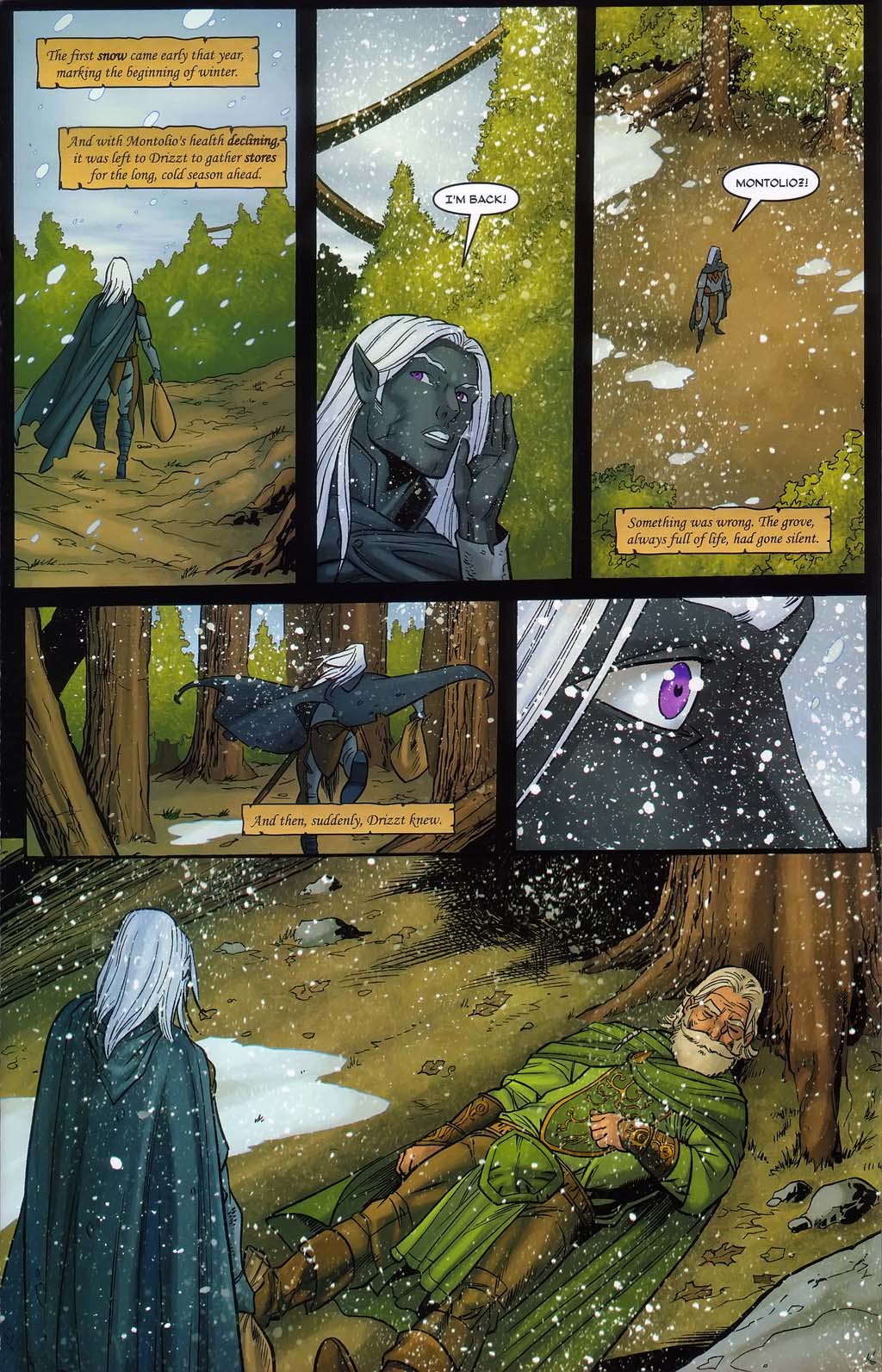 Read online Forgotten Realms: Sojourn comic -  Issue #3 - 17