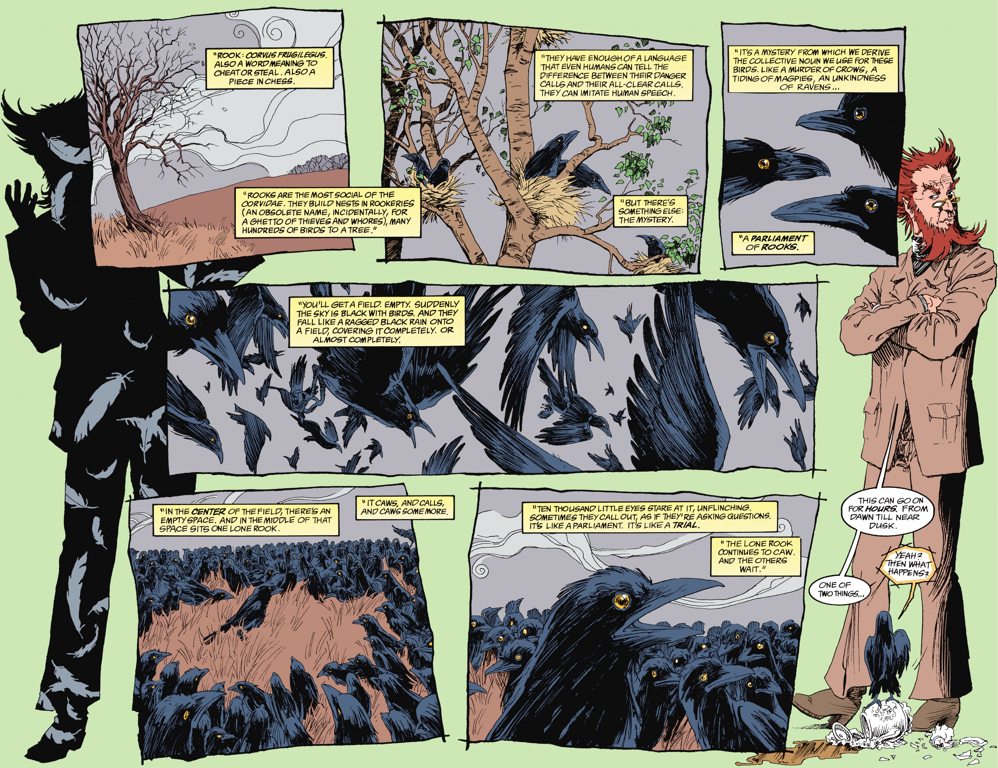 Read online The Sandman (2022) comic -  Issue # TPB 3 (Part 1) - 75