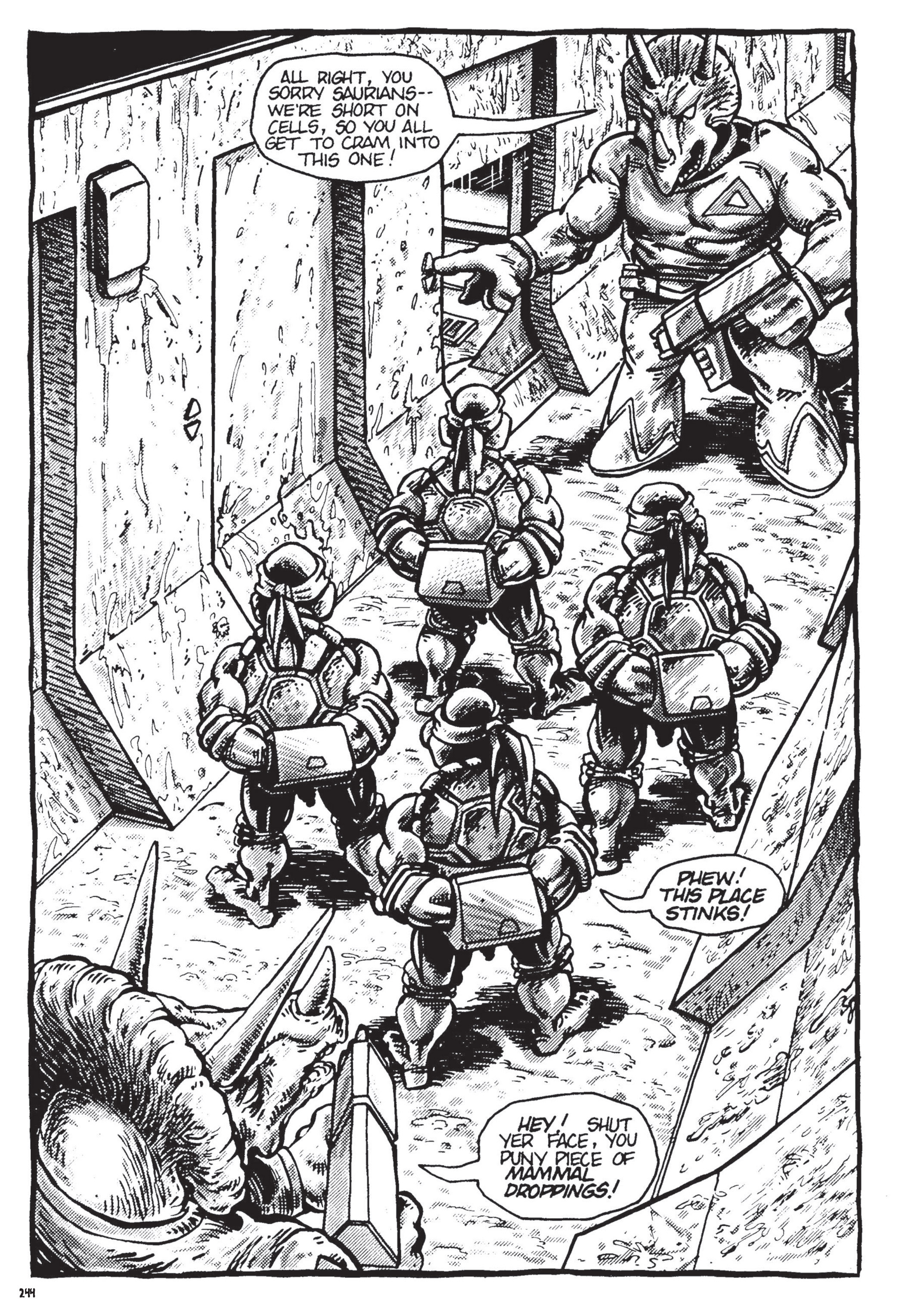 Read online Teenage Mutant Ninja Turtles: The Ultimate Collection comic -  Issue # TPB 1 (Part 3) - 43