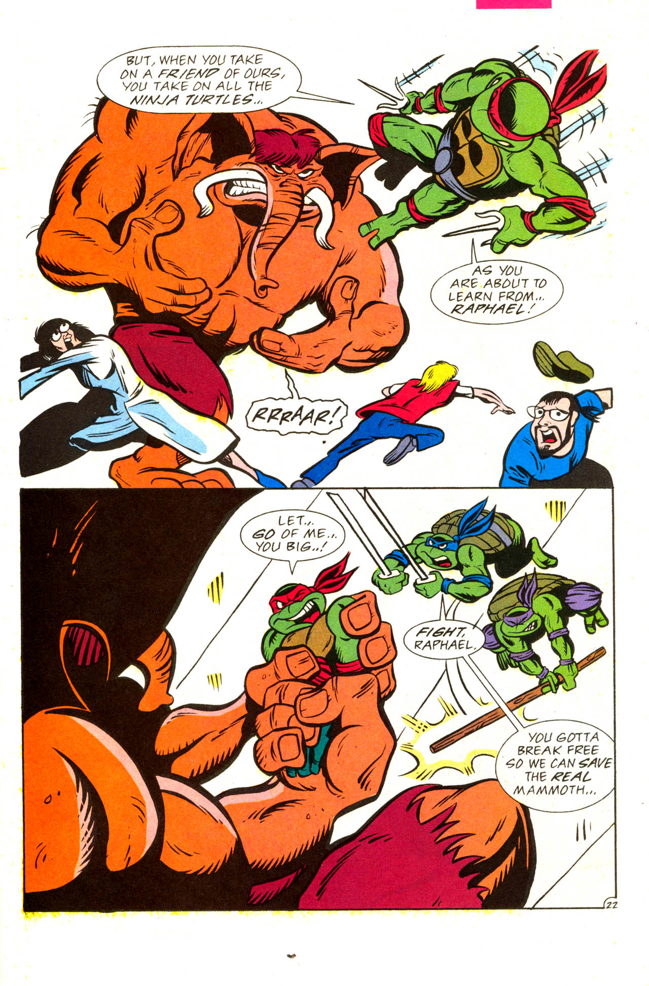 Read online Teenage Mutant Ninja Turtles Adventures (1989) comic -  Issue #41 - 26