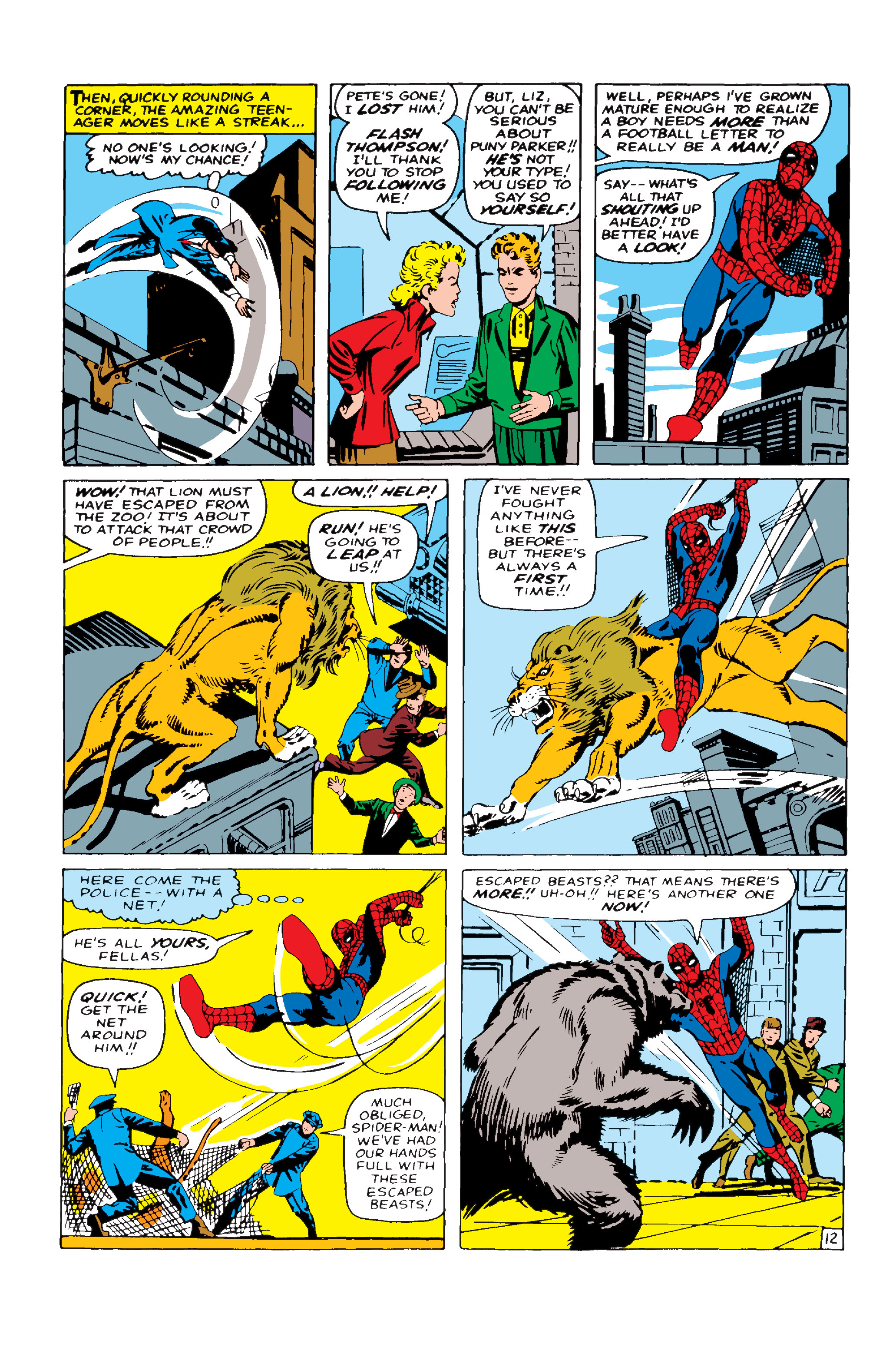 Read online The Amazing Spider-Man (1963) comic -  Issue #12 - 13