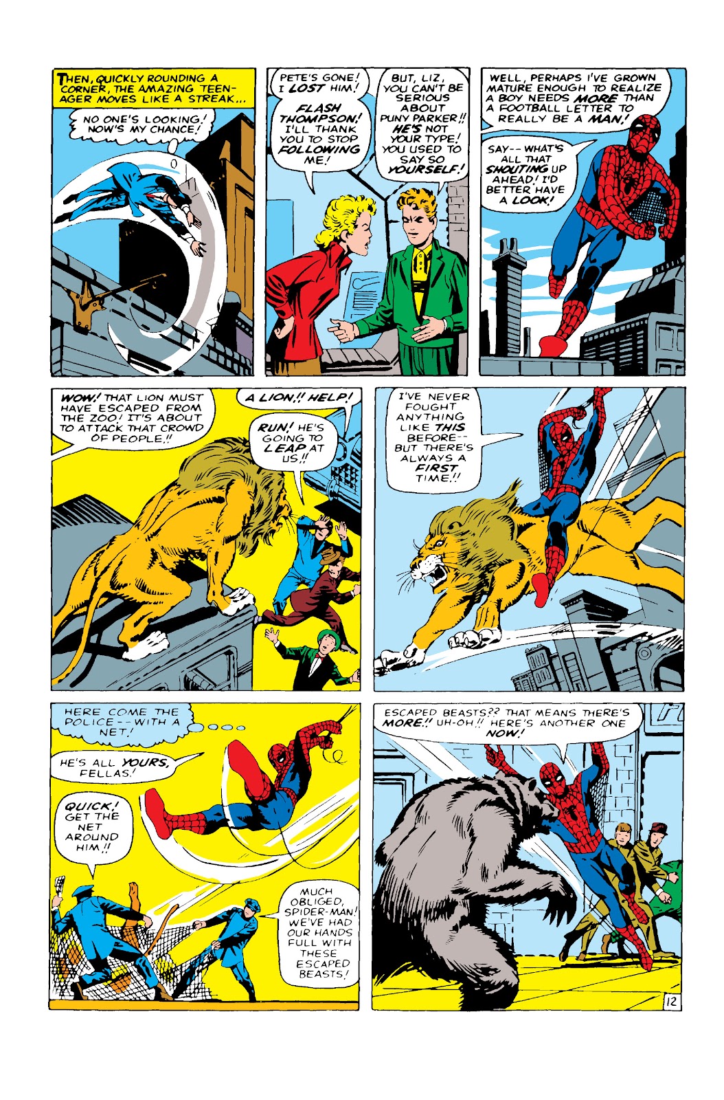The Amazing Spider-Man (1963) issue 12 - Page 13
