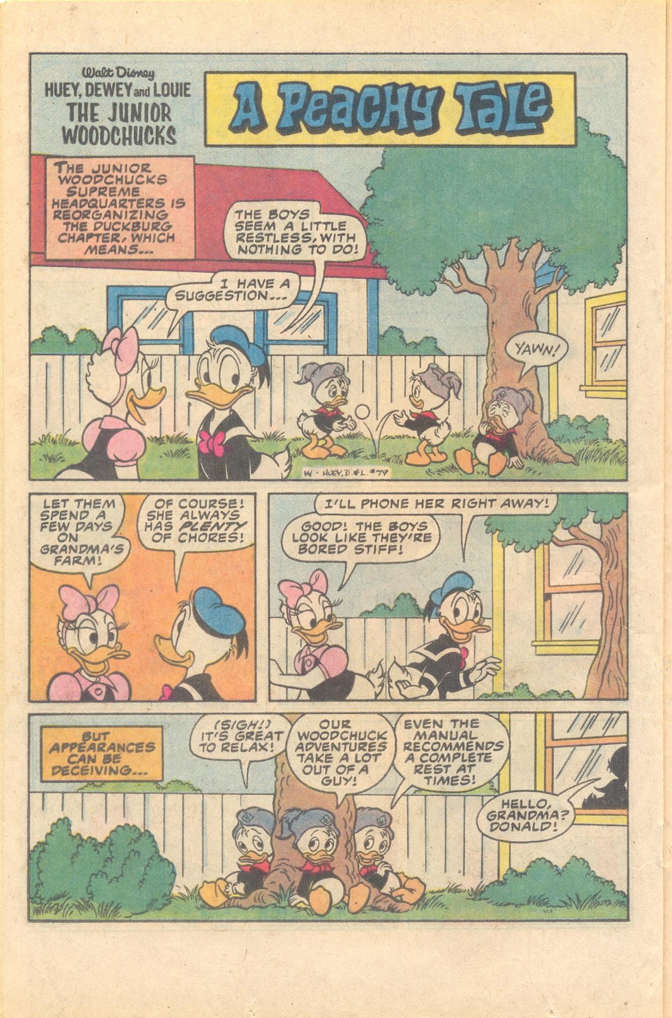 Read online Huey, Dewey, and Louie Junior Woodchucks comic -  Issue #79 - 20