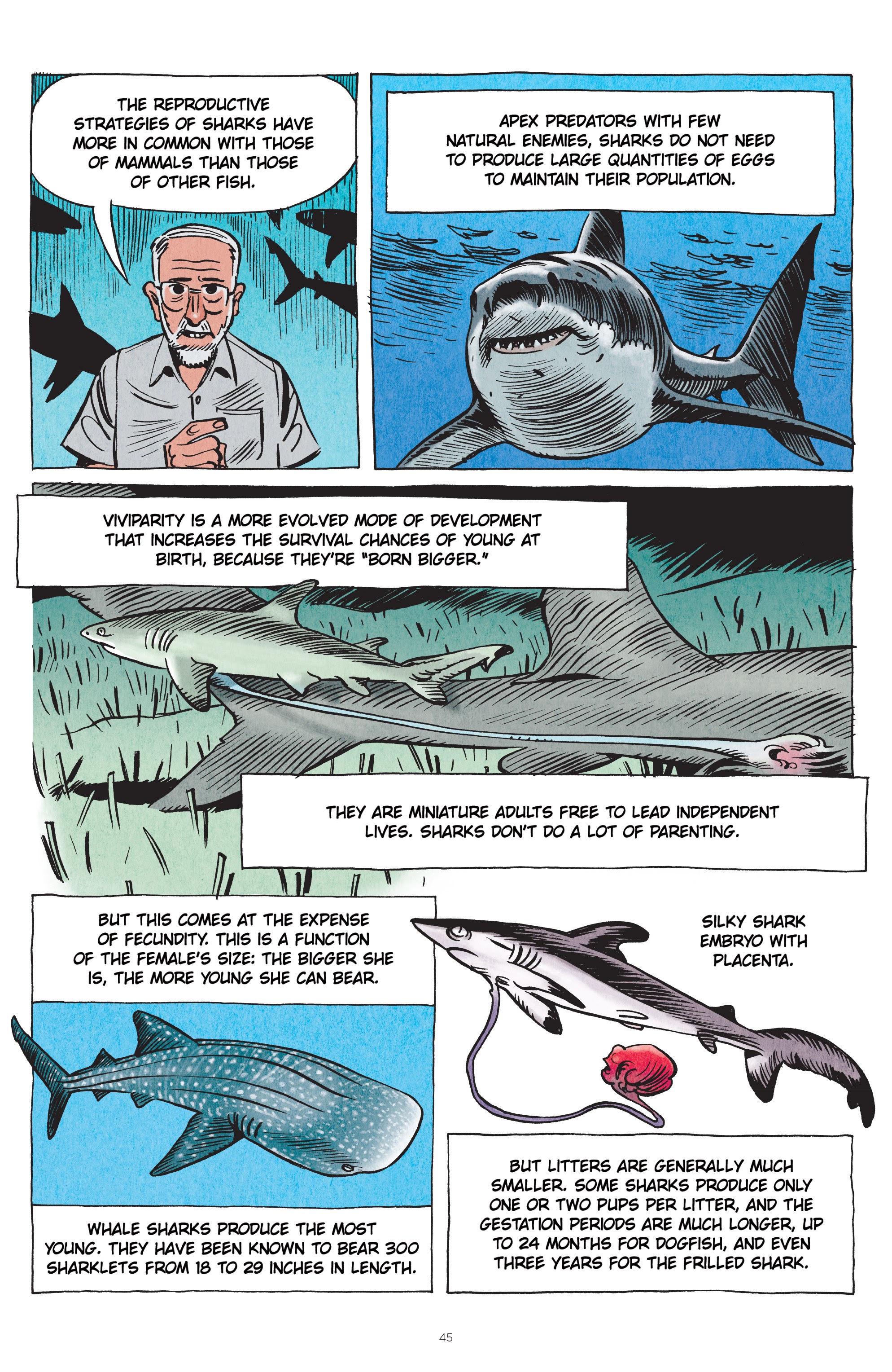 Read online Little Book of Knowledge: Sharks comic -  Issue # TPB - 45