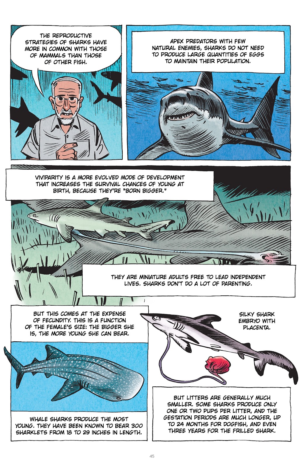 Little Book of Knowledge: Sharks issue TPB - Page 45