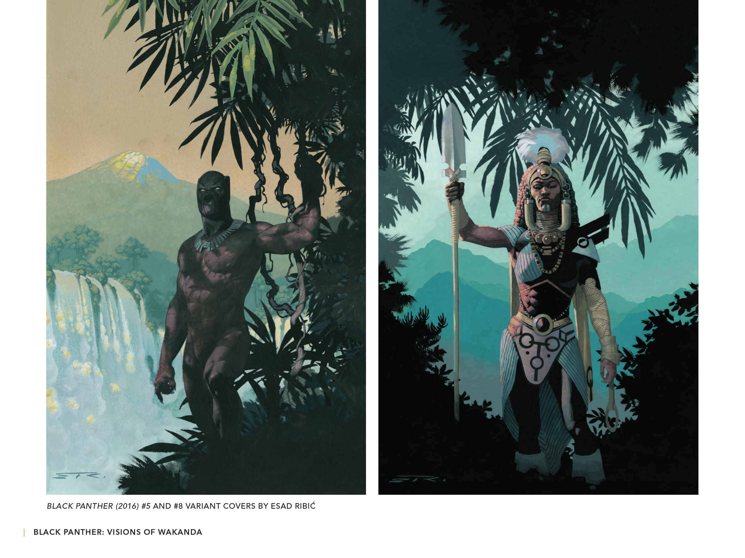 Read online Black Panther: Visions of Wakanda comic -  Issue # TPB (Part 4) - 52