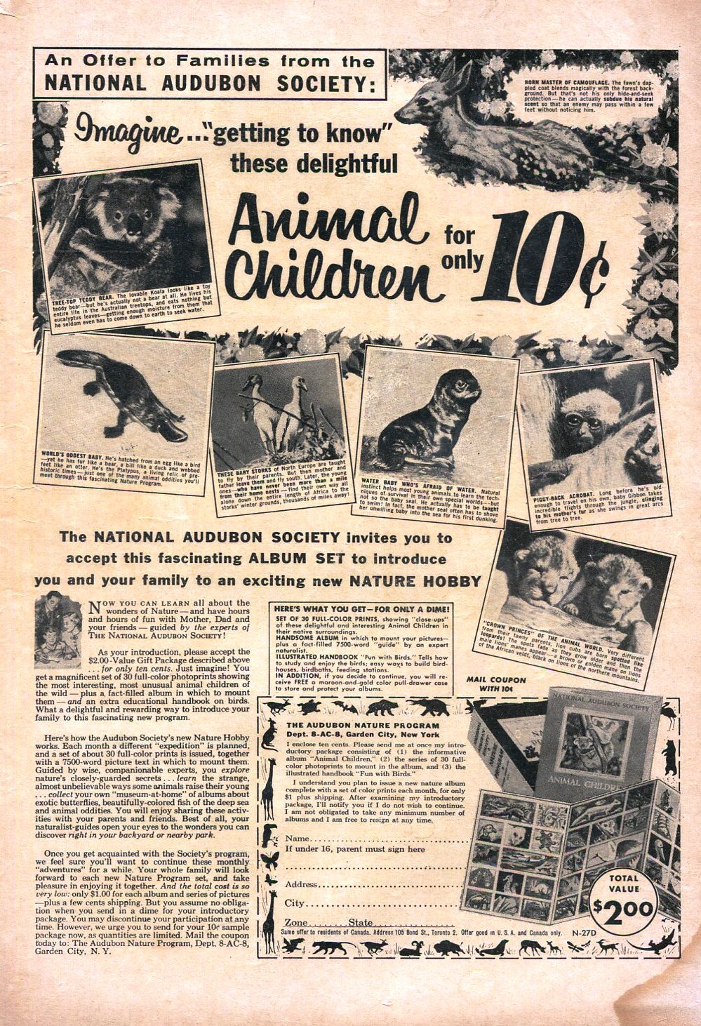 Read online Laugh (Comics) comic -  Issue #89 - 35