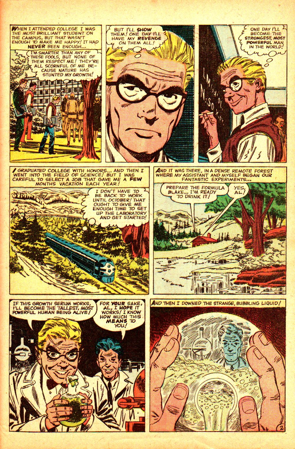 Strange Tales (1951) Issue #75 #77 - English 29