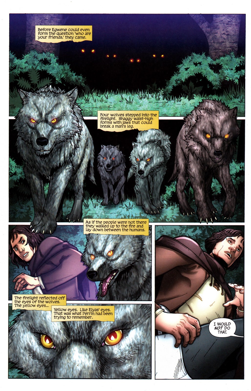 Robert Jordan's Wheel of Time: The Eye of the World issue 16 - Page 14