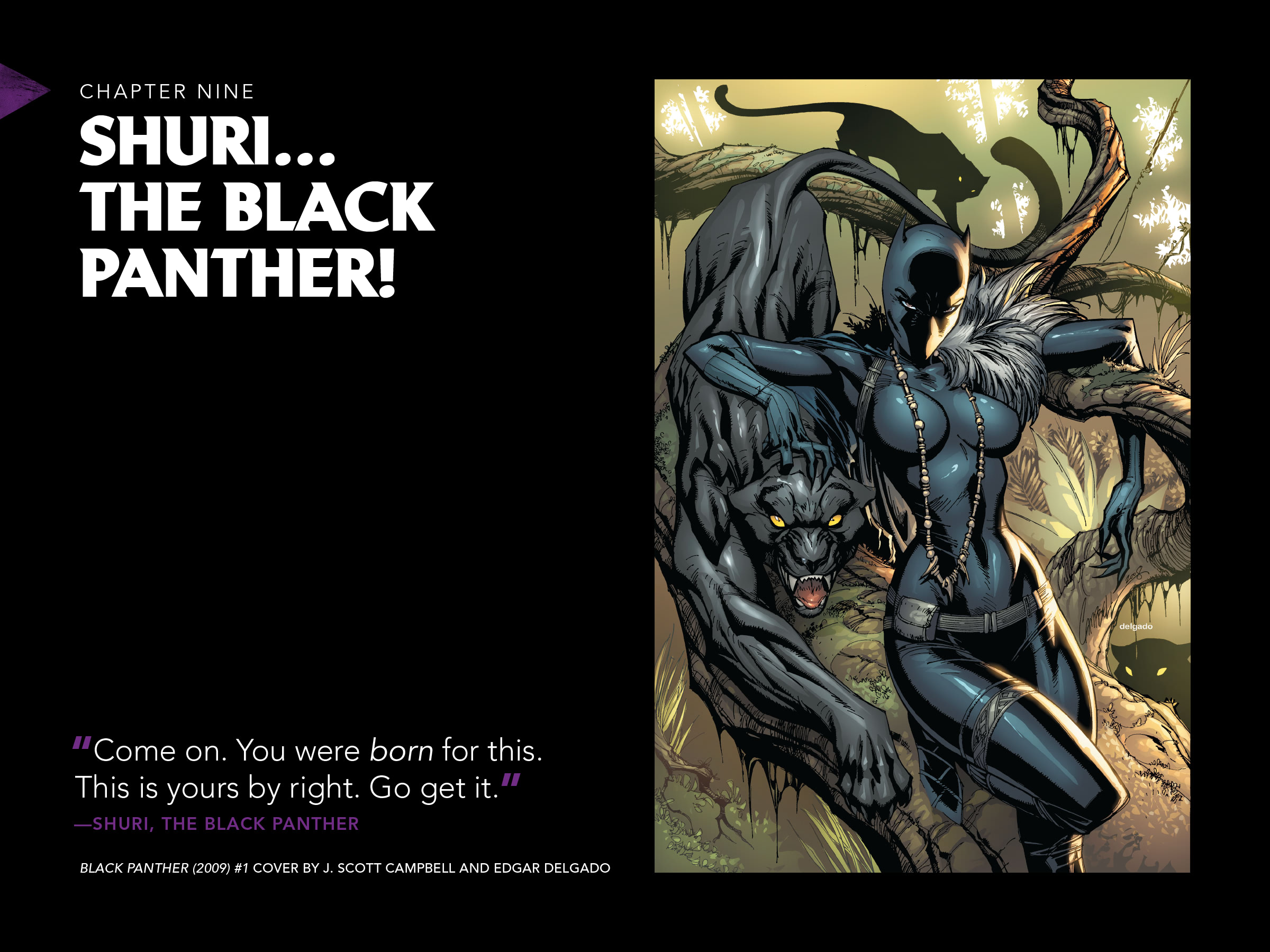 Read online Black Panther: Visions of Wakanda comic -  Issue # TPB (Part 3) - 18