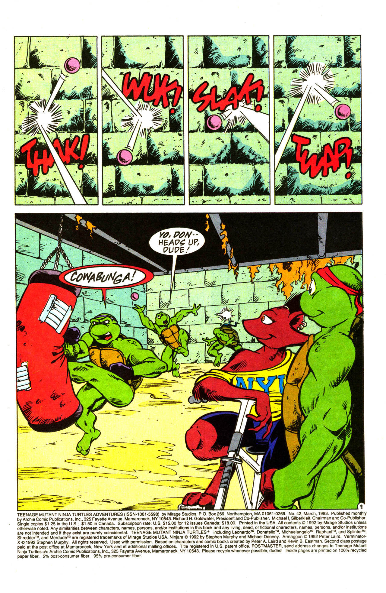 Read online Teenage Mutant Ninja Turtles Adventures (1989) comic -  Issue #42 - 3