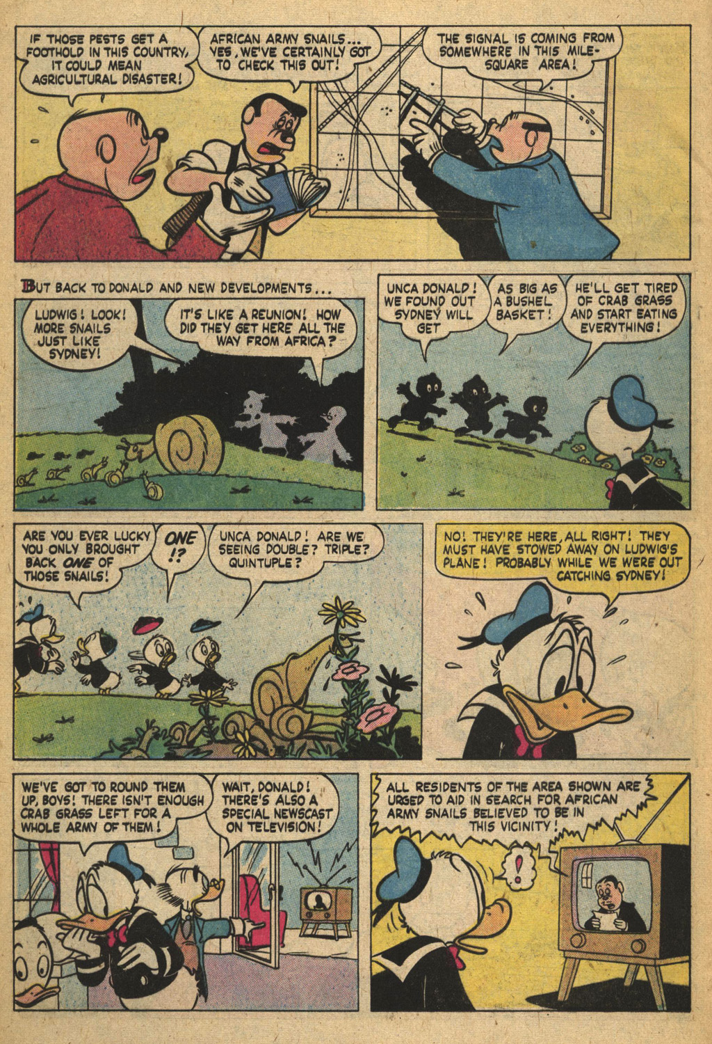 Read online Donald Duck (1962) comic -  Issue #199 - 12