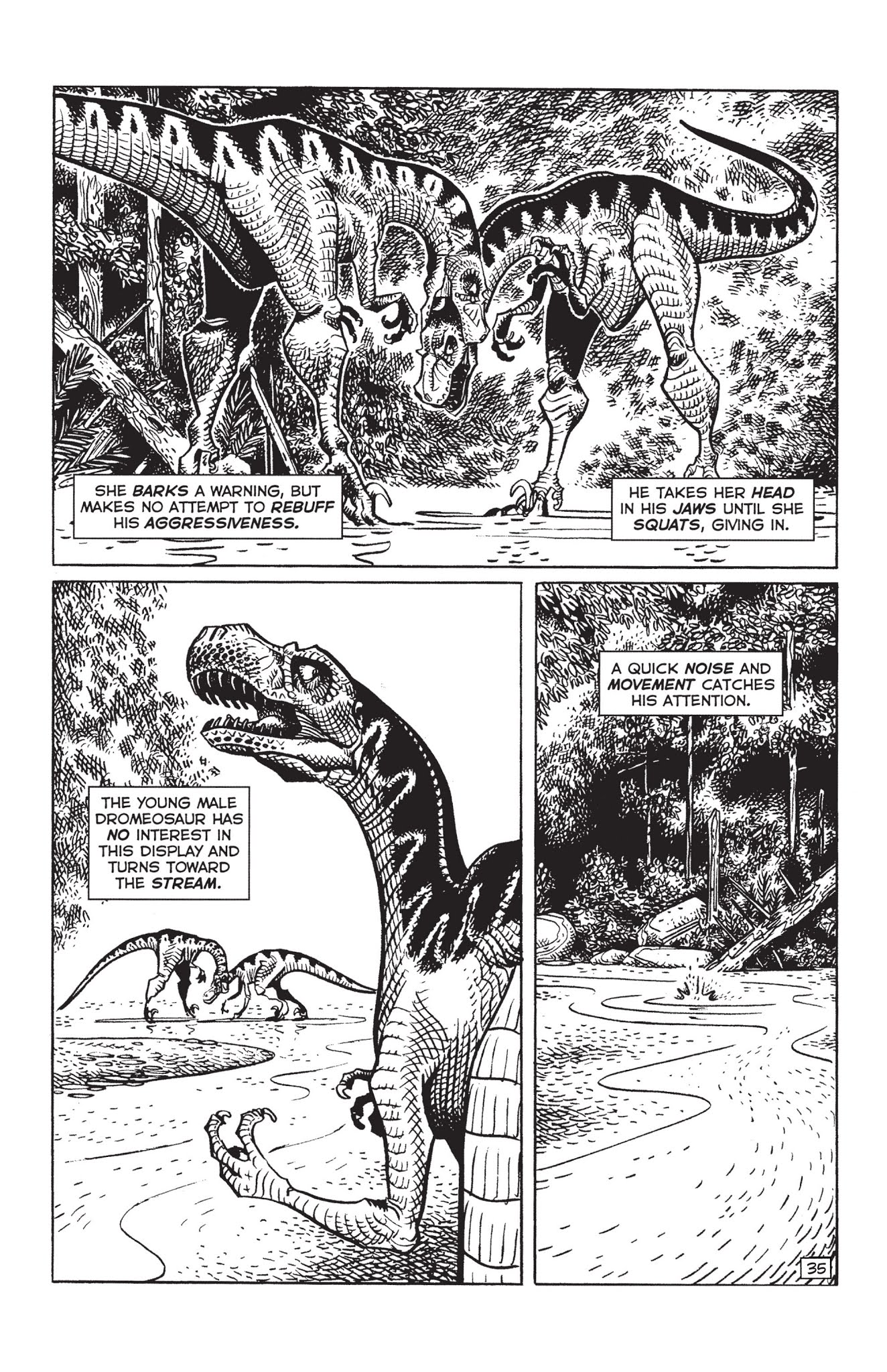 Read online Paleo: Tales of the late Cretaceous comic -  Issue # TPB (Part 1) - 50