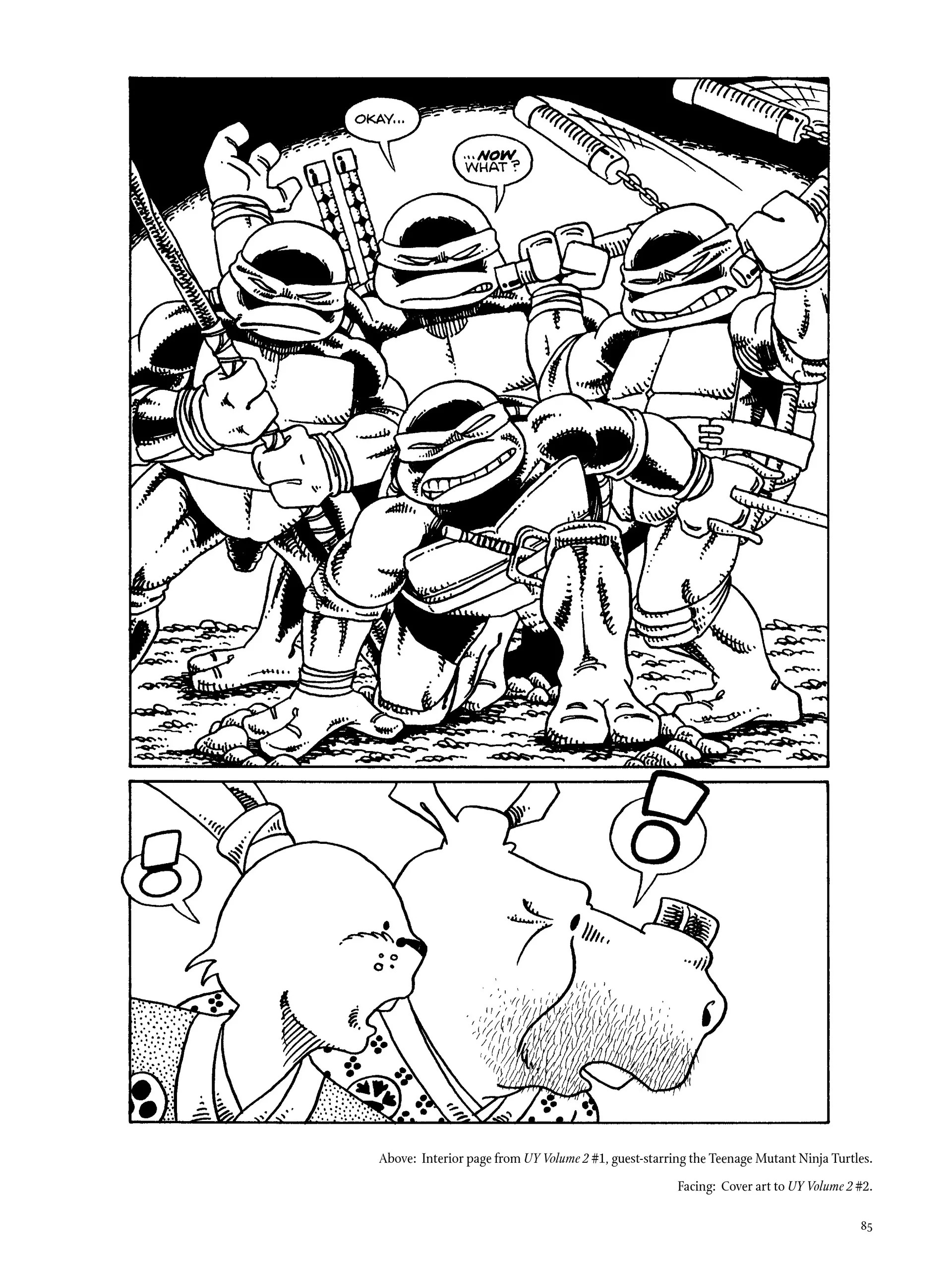 Read online The Art of Usagi Yojimbo comic -  Issue # TPB (Part 1) - 98