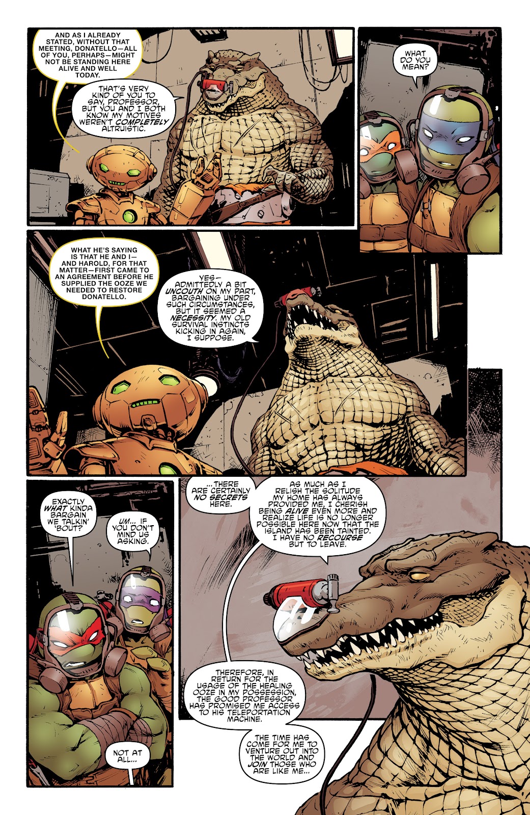 Teenage Mutant Ninja Turtles (2011) issue 56 - Page 15