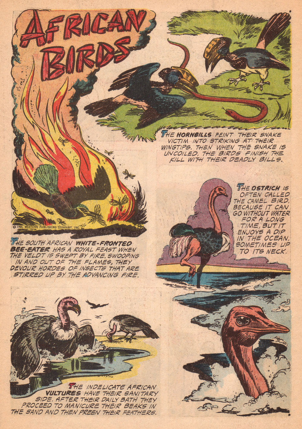 Read online Korak, Son of Tarzan (1964) comic -  Issue #9 - 34