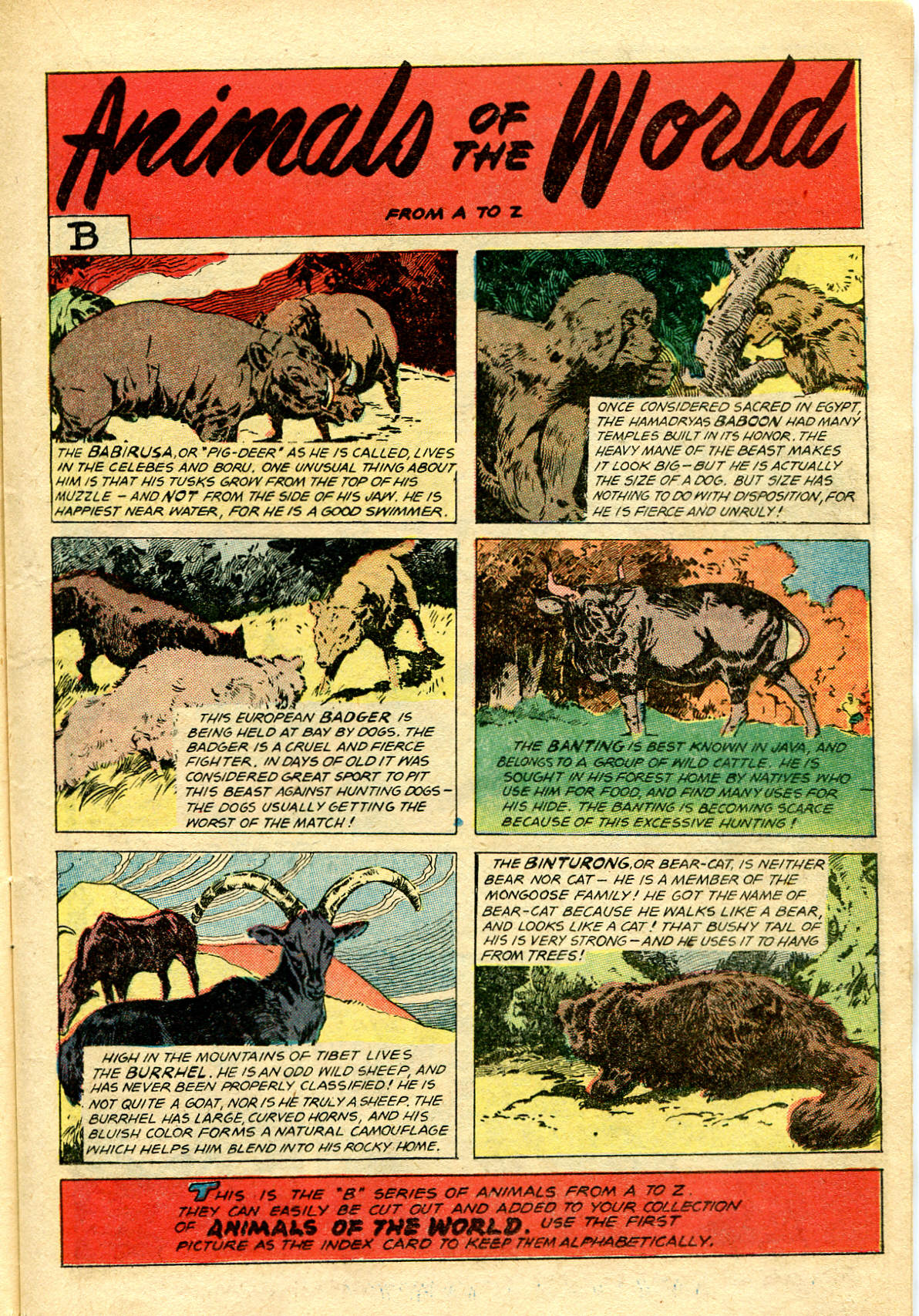 Read online Jungle Comics comic -  Issue #116 - 20