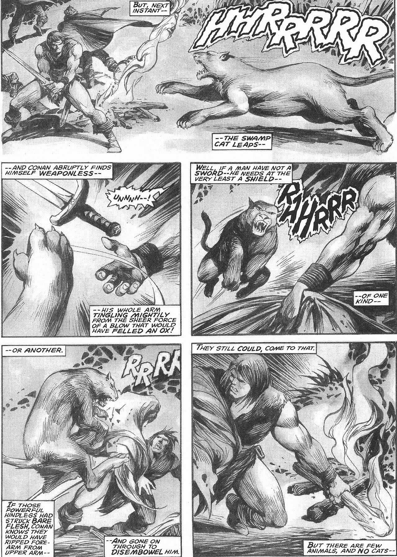 Read online The Savage Sword Of Conan comic -  Issue #207 - 14