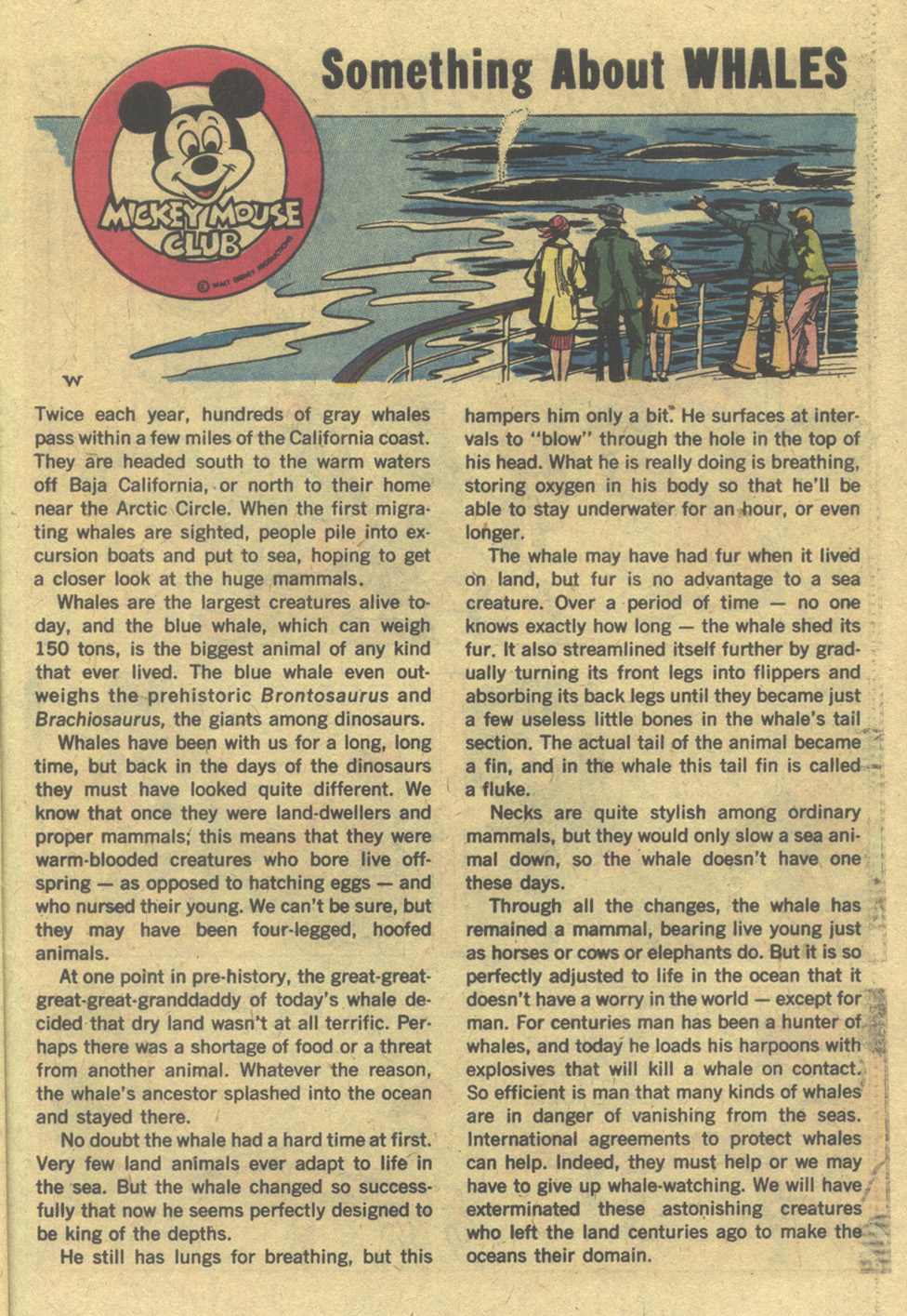 Read online Walt Disney's Mickey Mouse comic -  Issue #176 - 27
