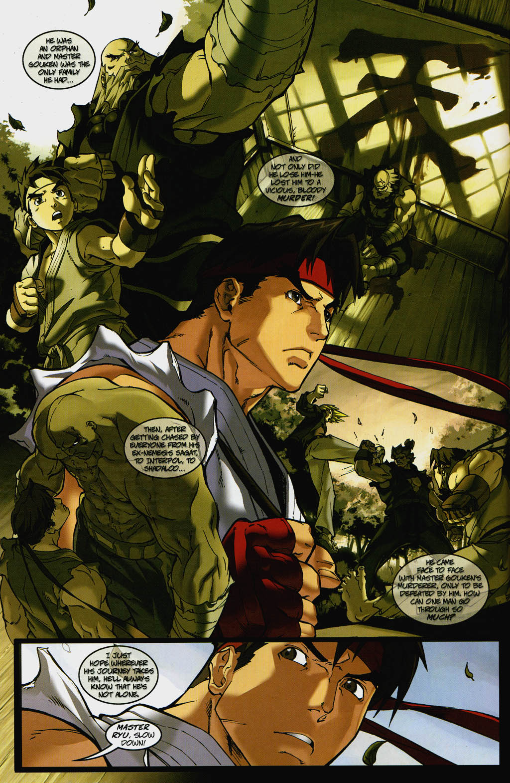 Read online Street Fighter (2003) comic -  Issue #7 - 14