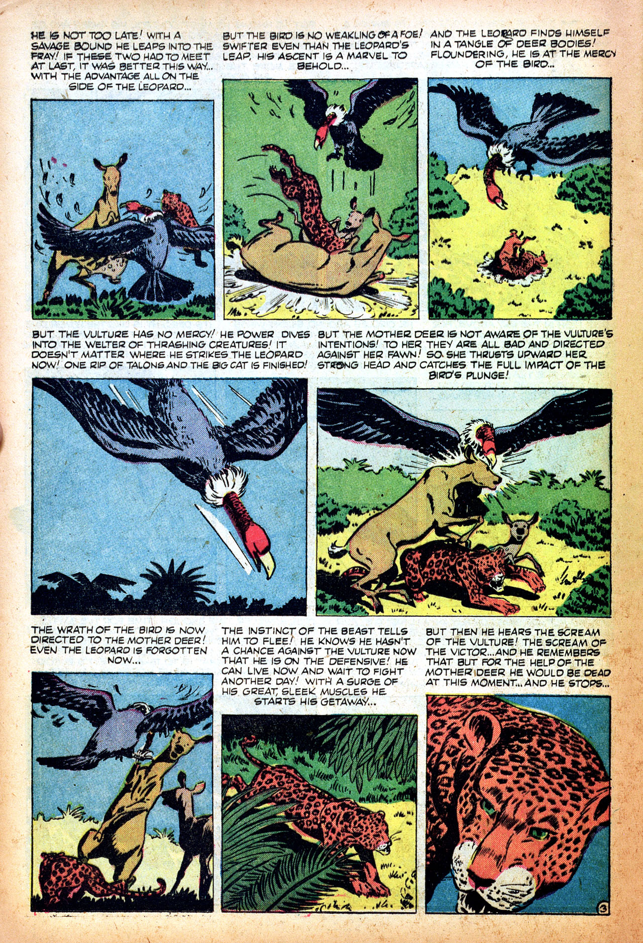 Read online Lorna, The Jungle Girl comic -  Issue #17 - 24