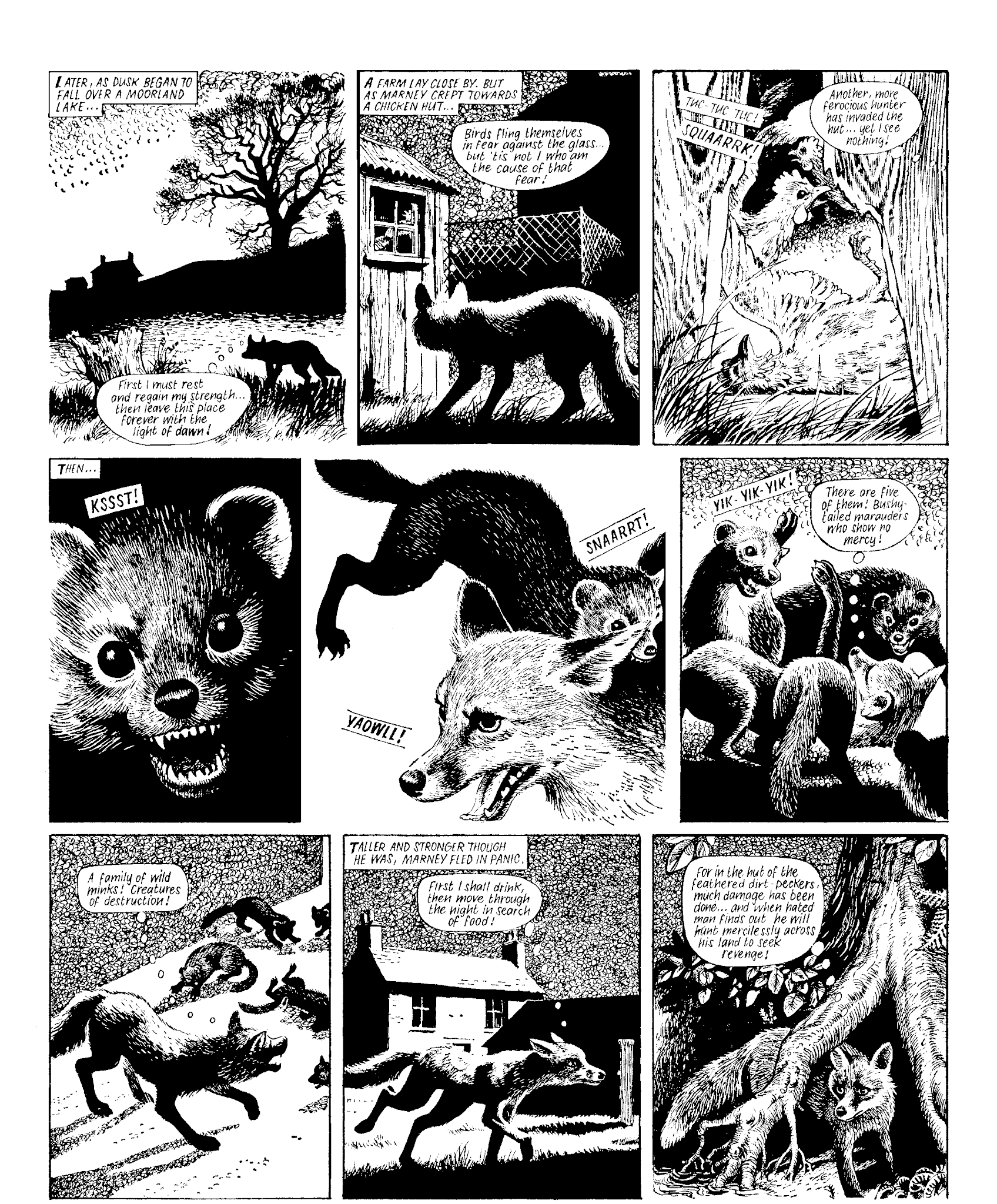 Read online Marney the Fox comic -  Issue # TPB (Part 1) - 92