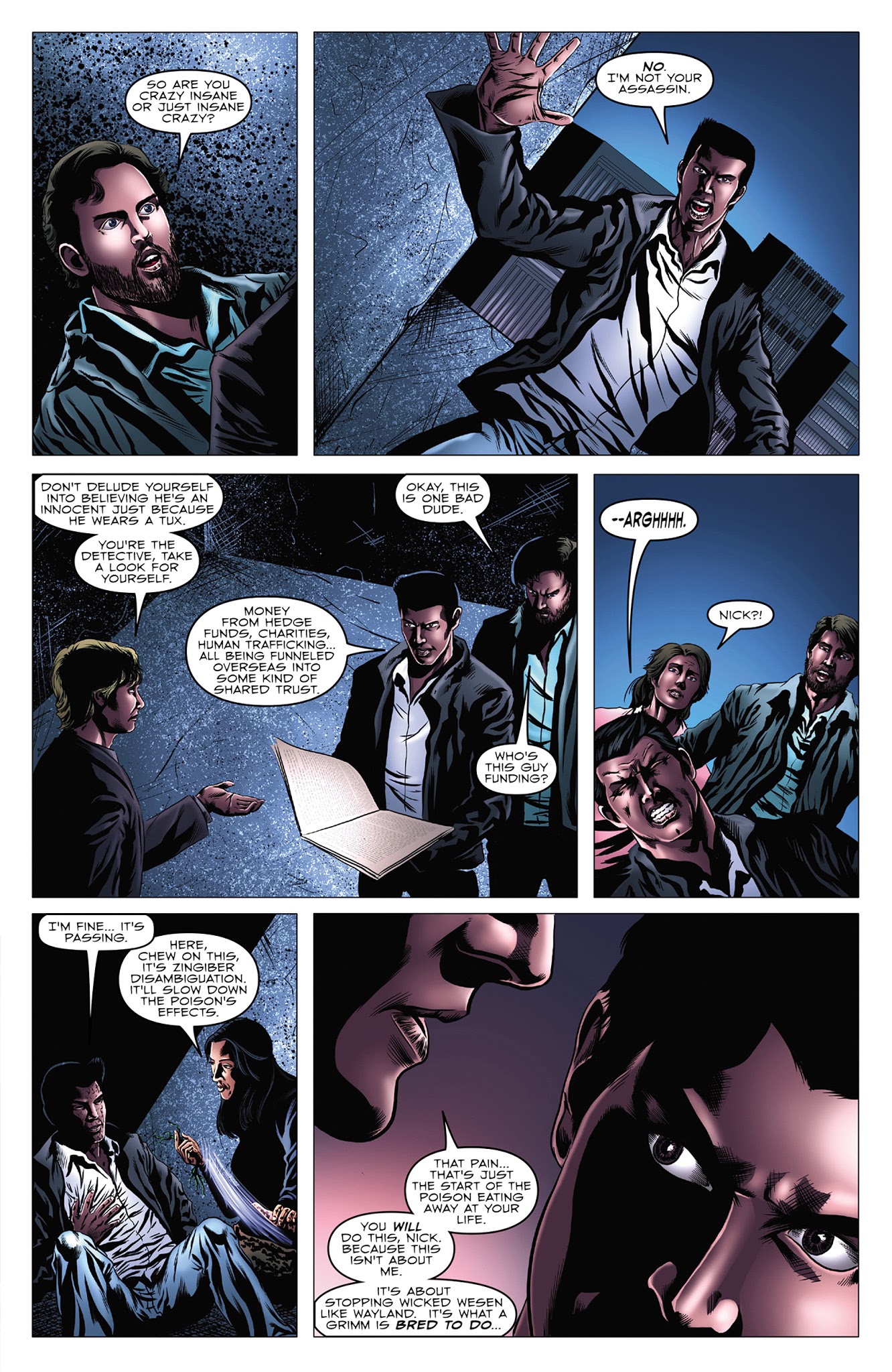 Read online Grimm (2013) comic -  Issue #10 - 13