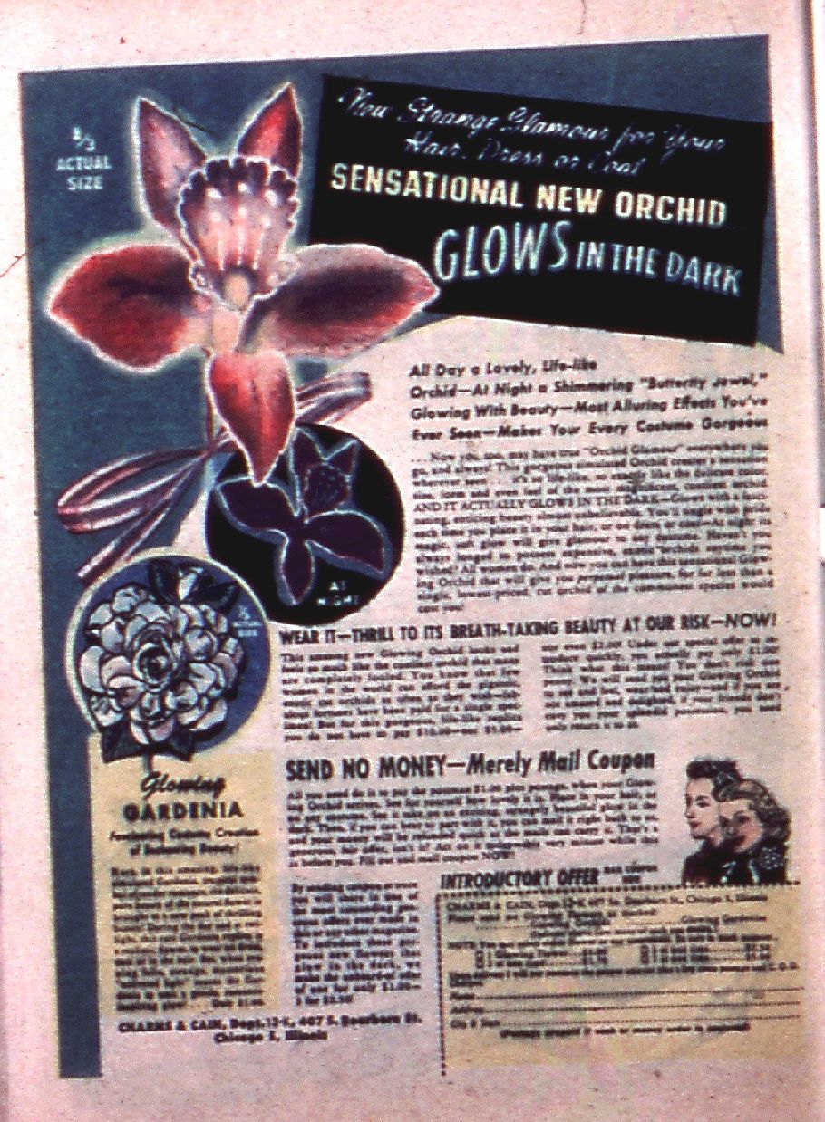 Read online Wow Comics comic -  Issue #28 - 42