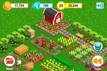Farm Story: St. Patrick's Day