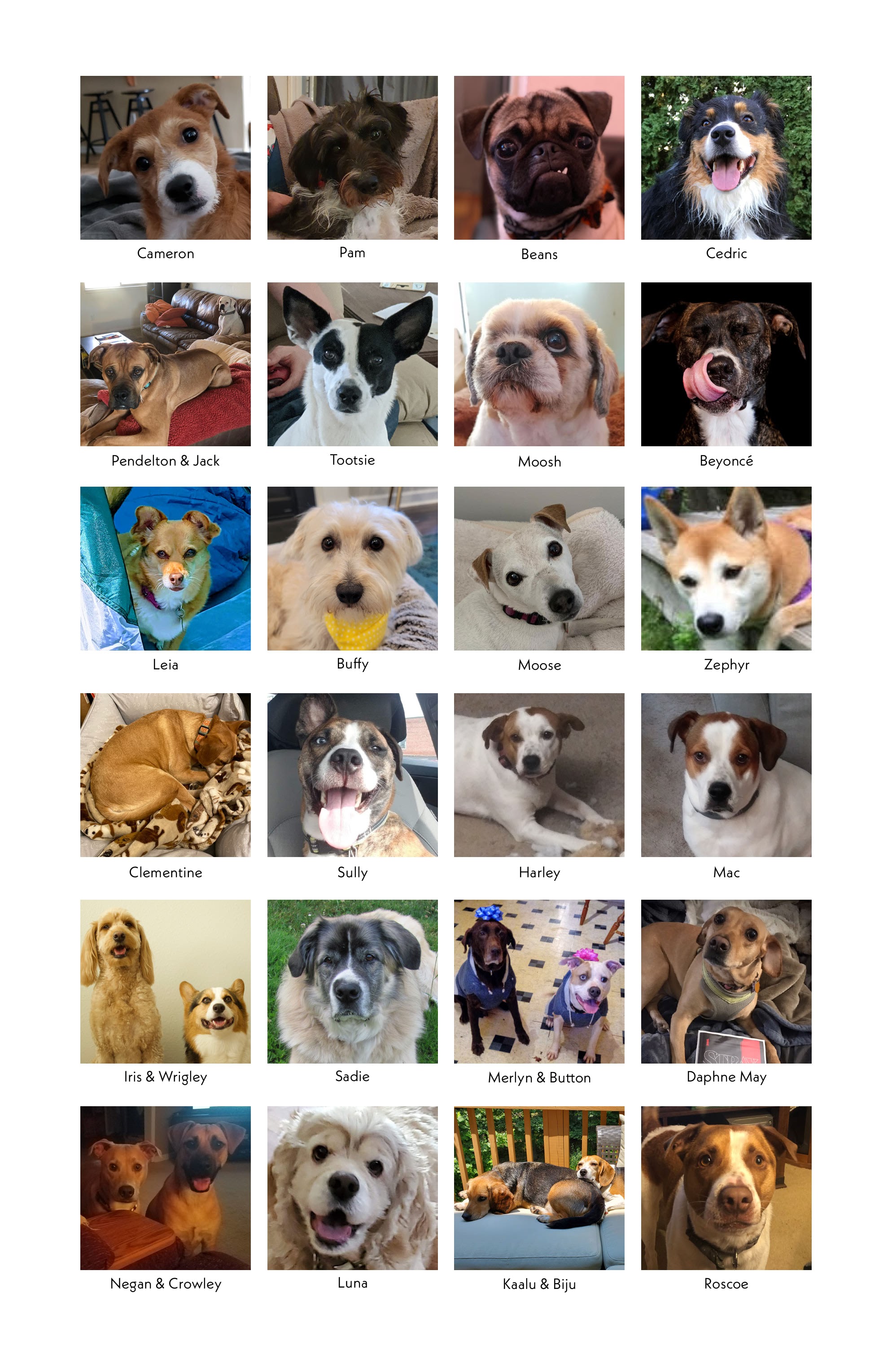 Read online Stray Dogs comic -  Issue #5 - 31