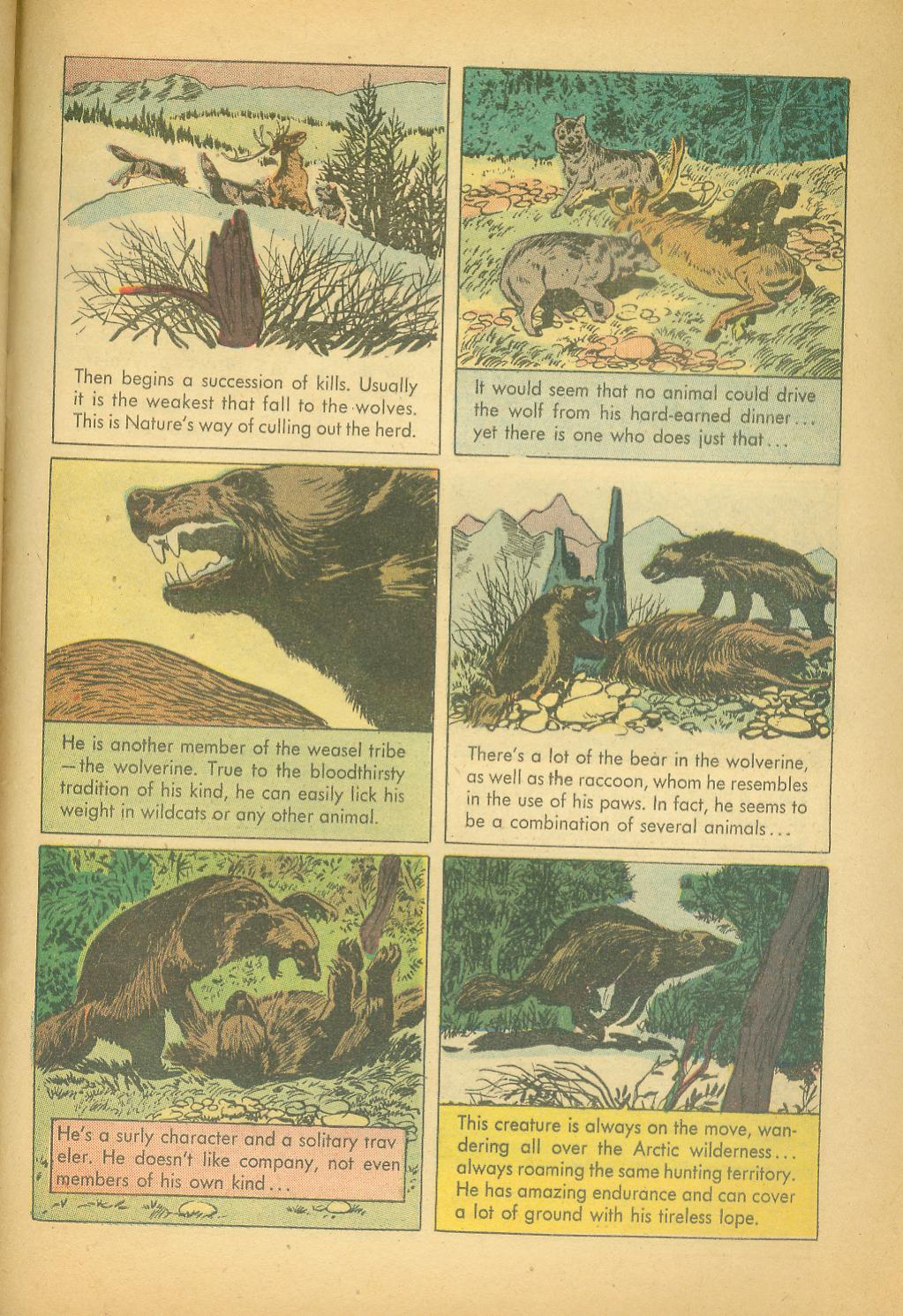 Read online Four Color Comics comic -  Issue #943 - 29