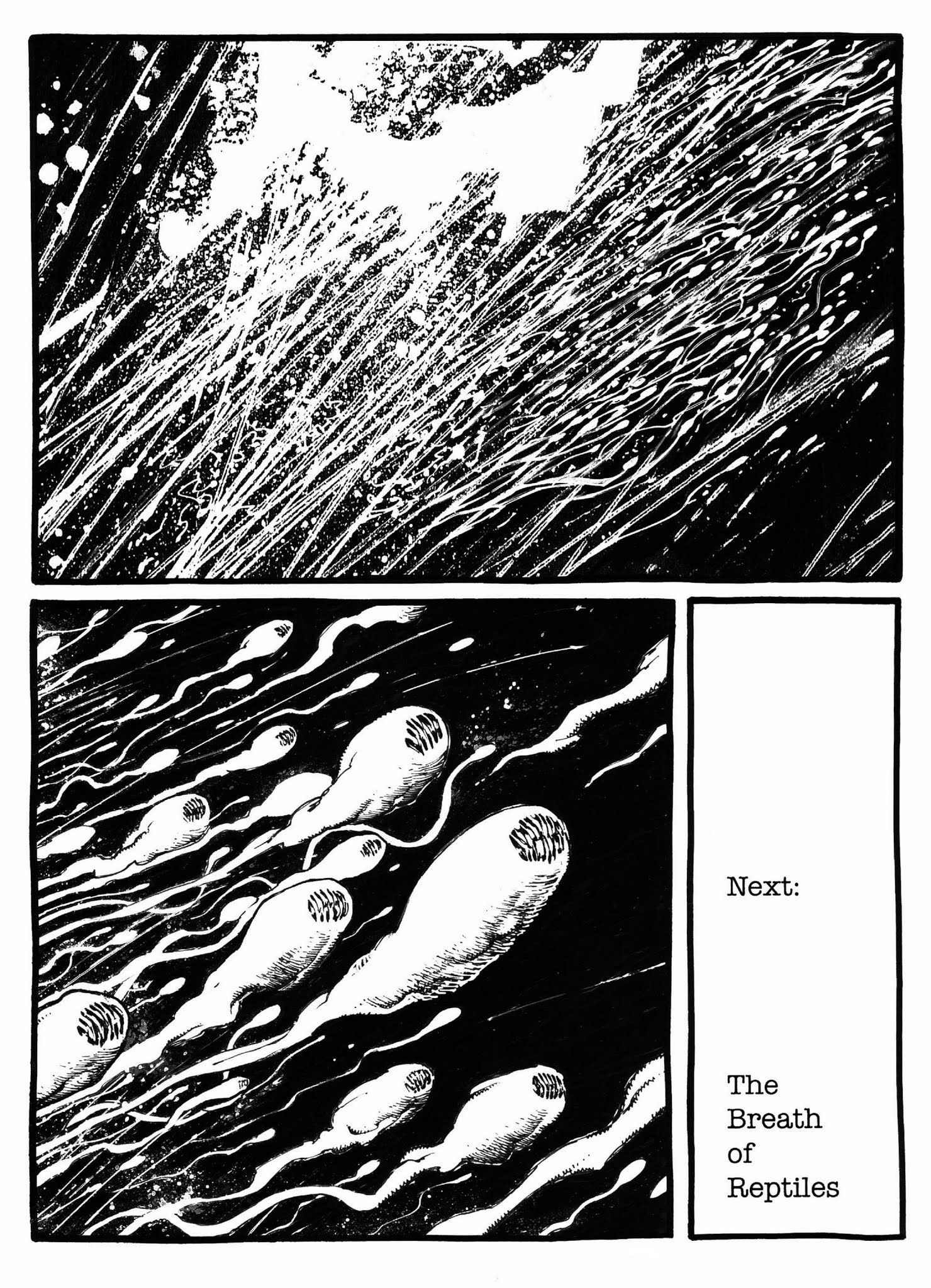 Read online The Superannuated Man comic -  Issue #2 - 24